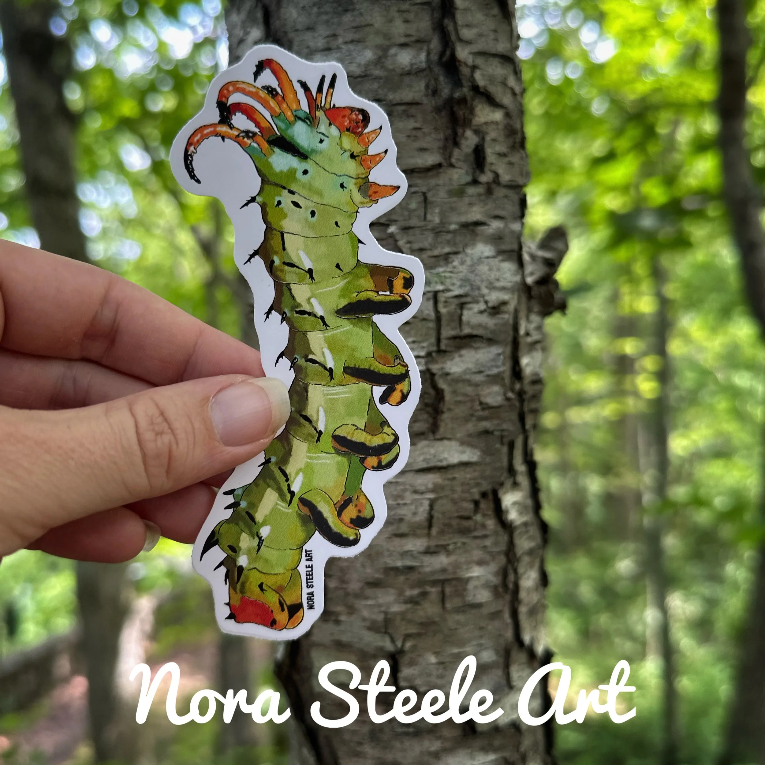 Hickory horned devil caterpillar sticker crawling up a tree