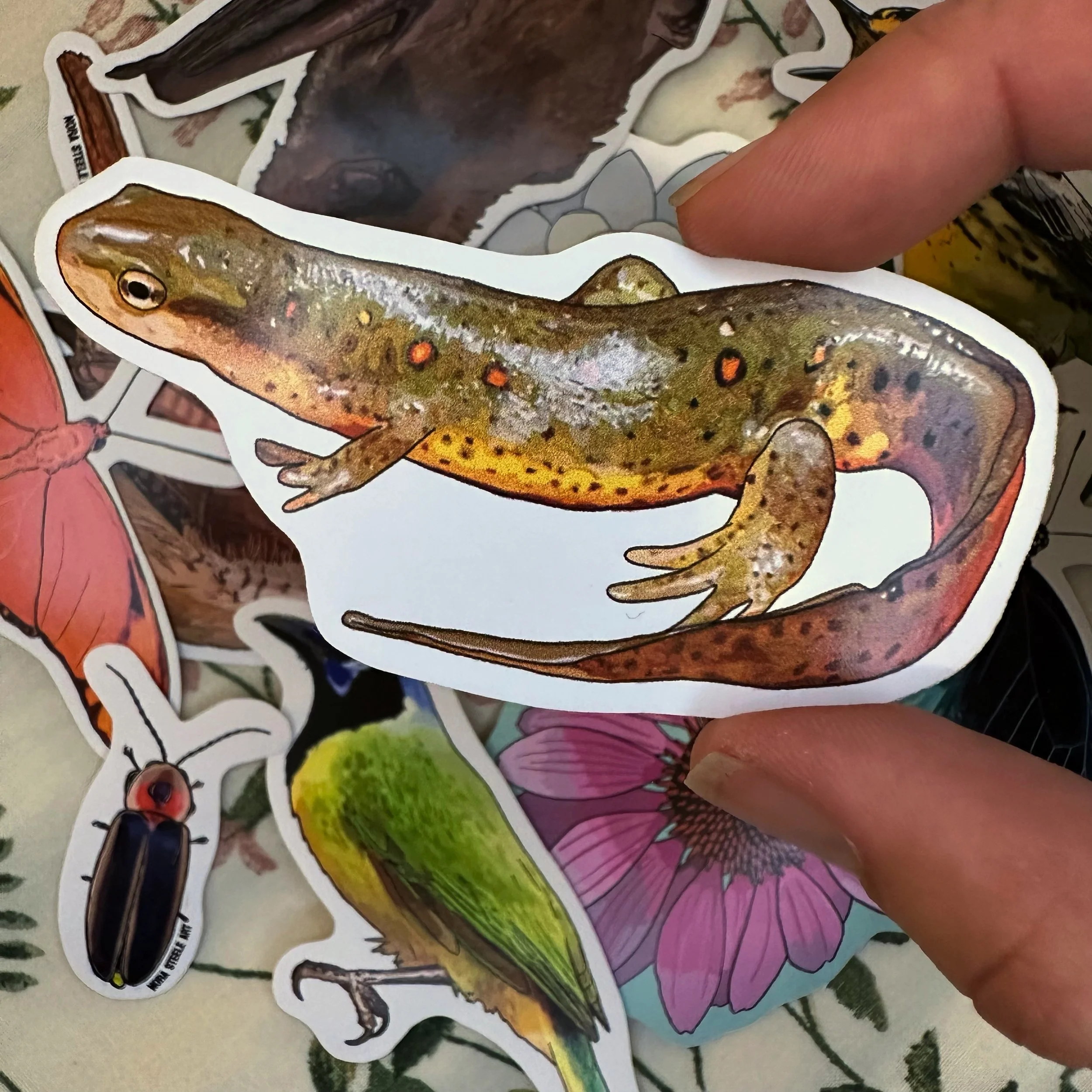 Red spotted newt sticker held above a pile of other stickers