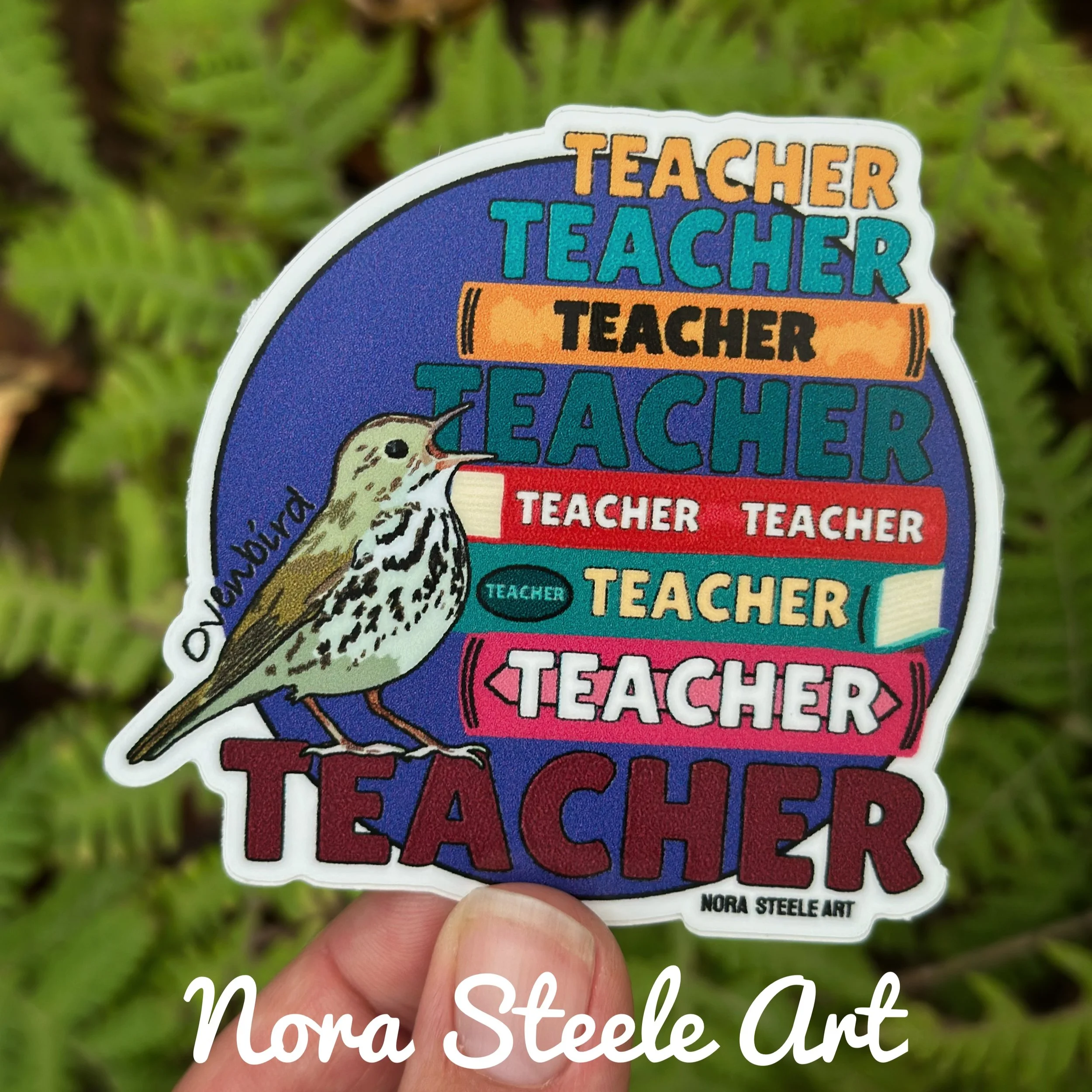 Waterproof Sticker -  Ovenbird Song - Teacher, Teacher