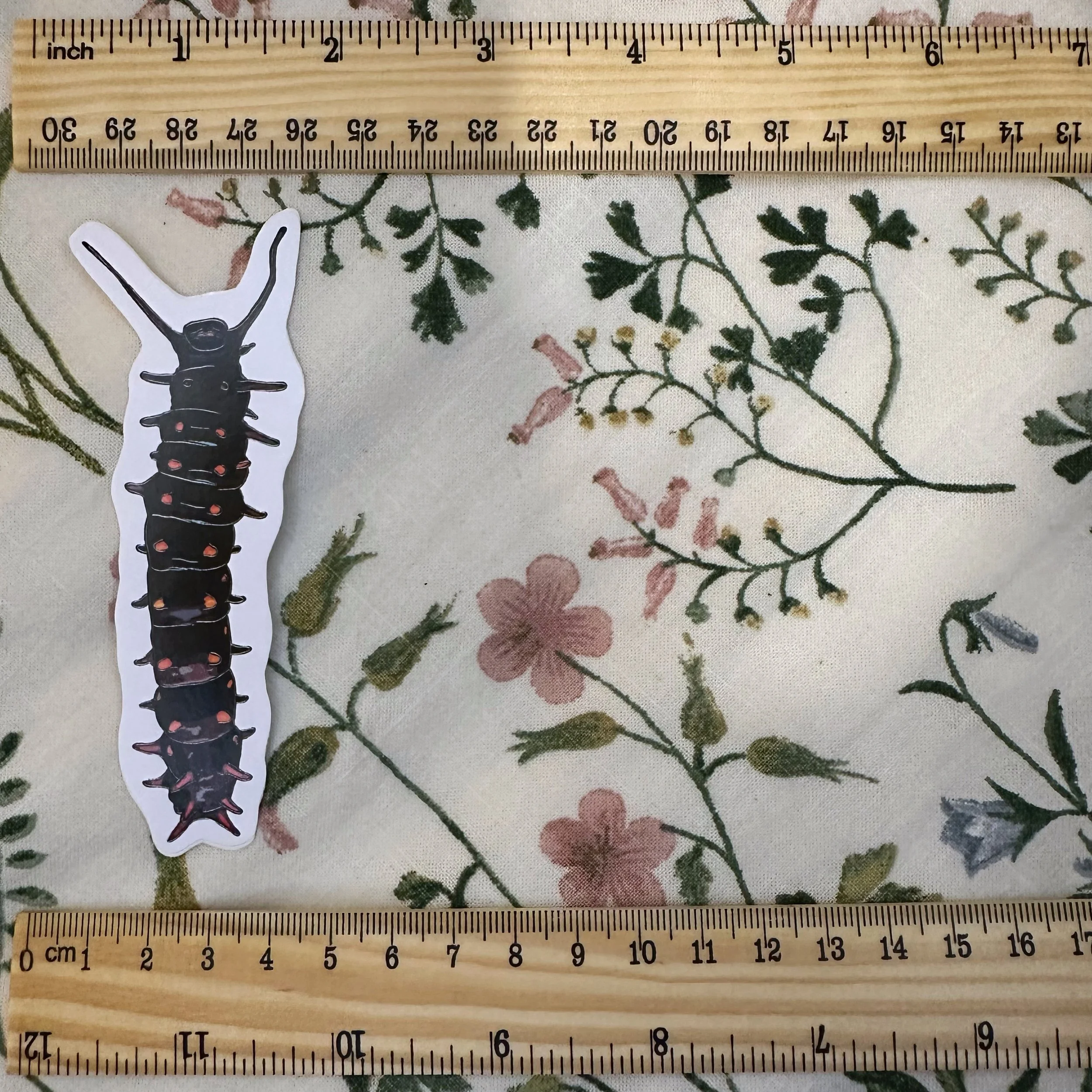 Pipevine swallowtail caterpillar sticker measuring about 1 1/2 inches wide