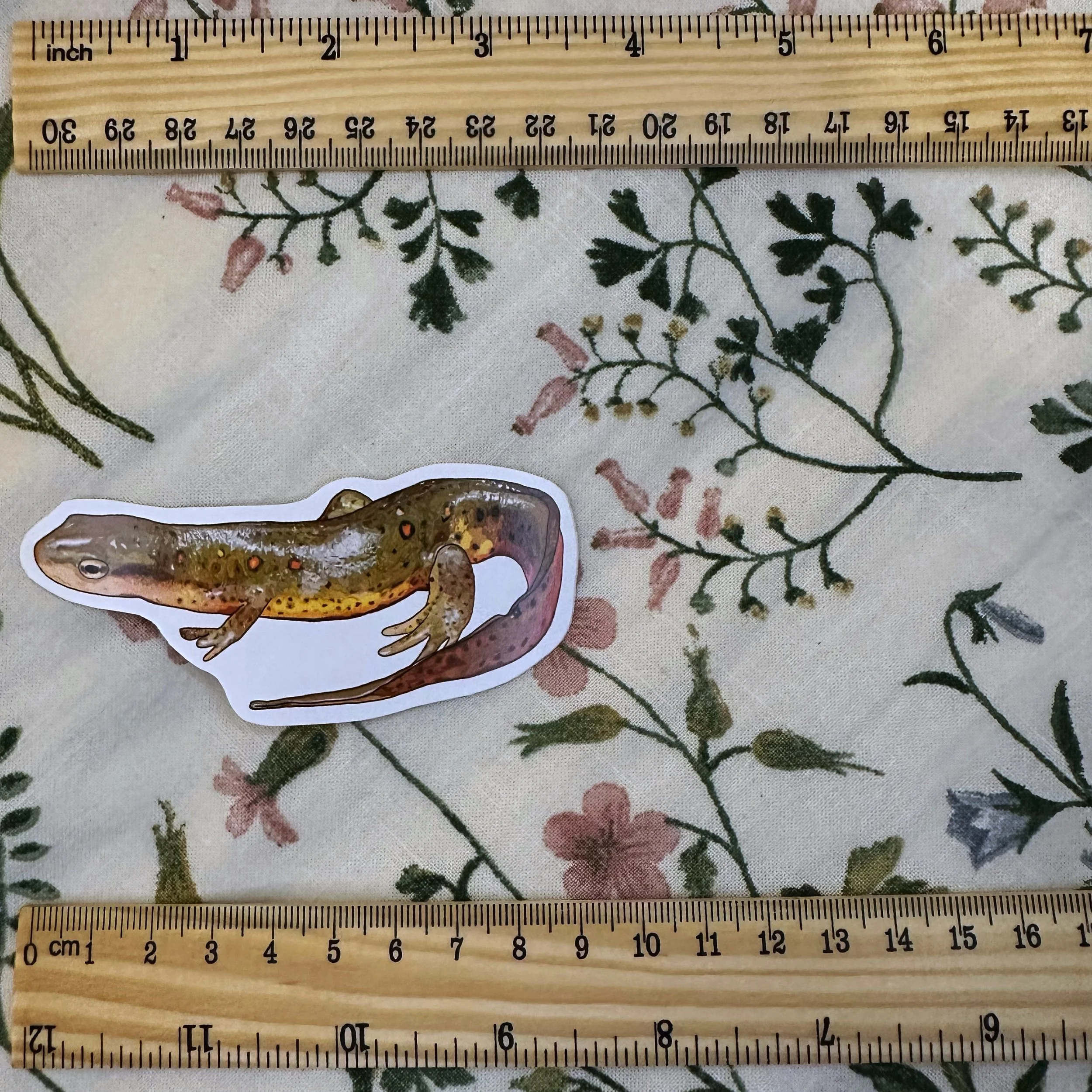 Red spotted newt sticker measuring about 3 1/2 inches long