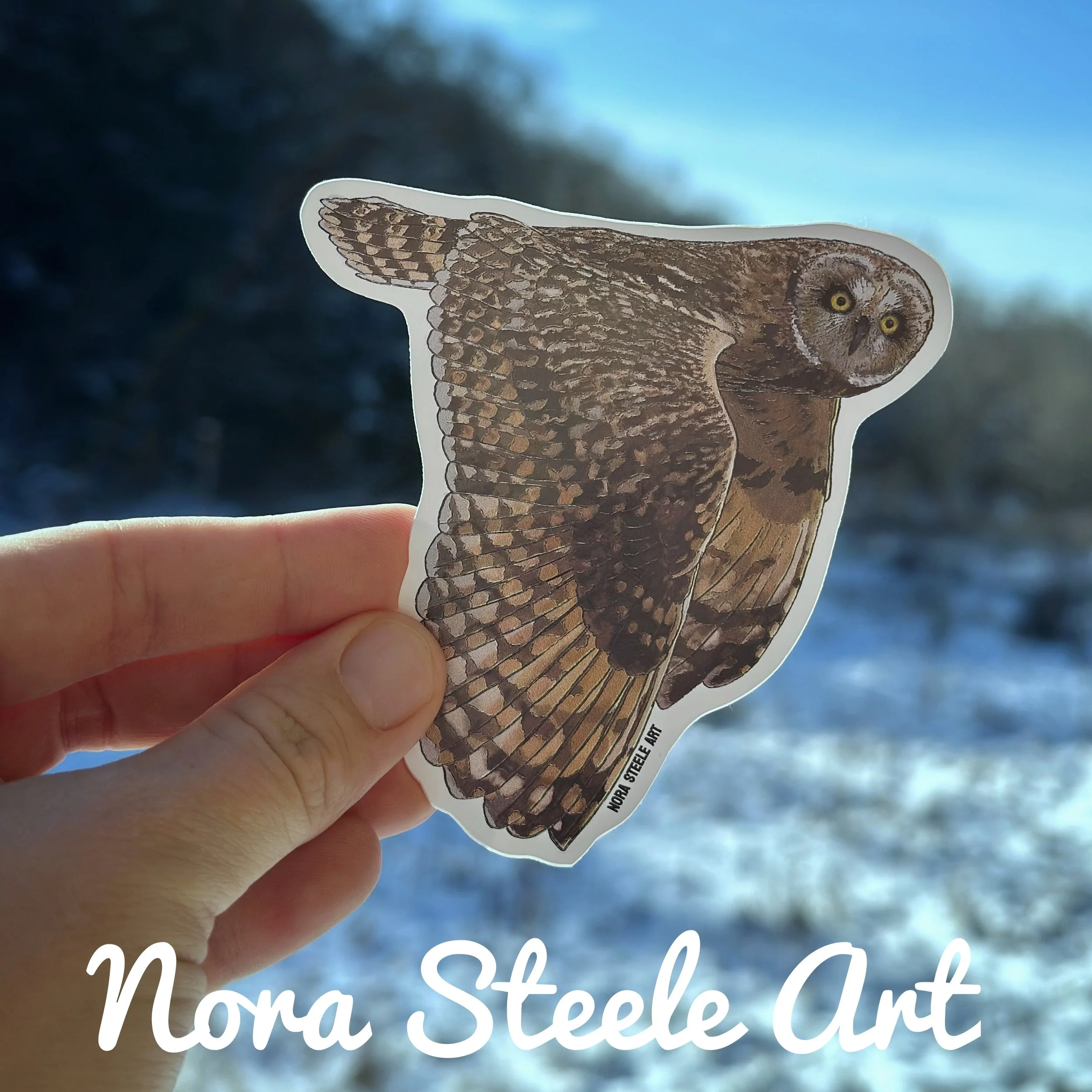 Waterproof Sticker -  Short-eared Owl