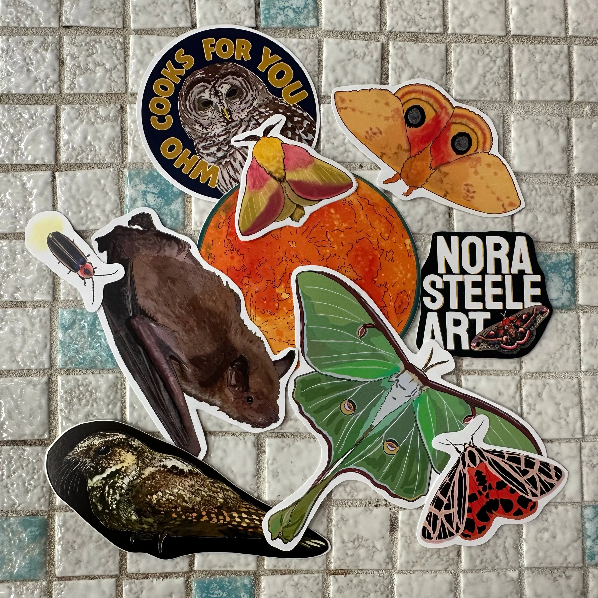 Nocturnal sticker pack with the stickers all spread out