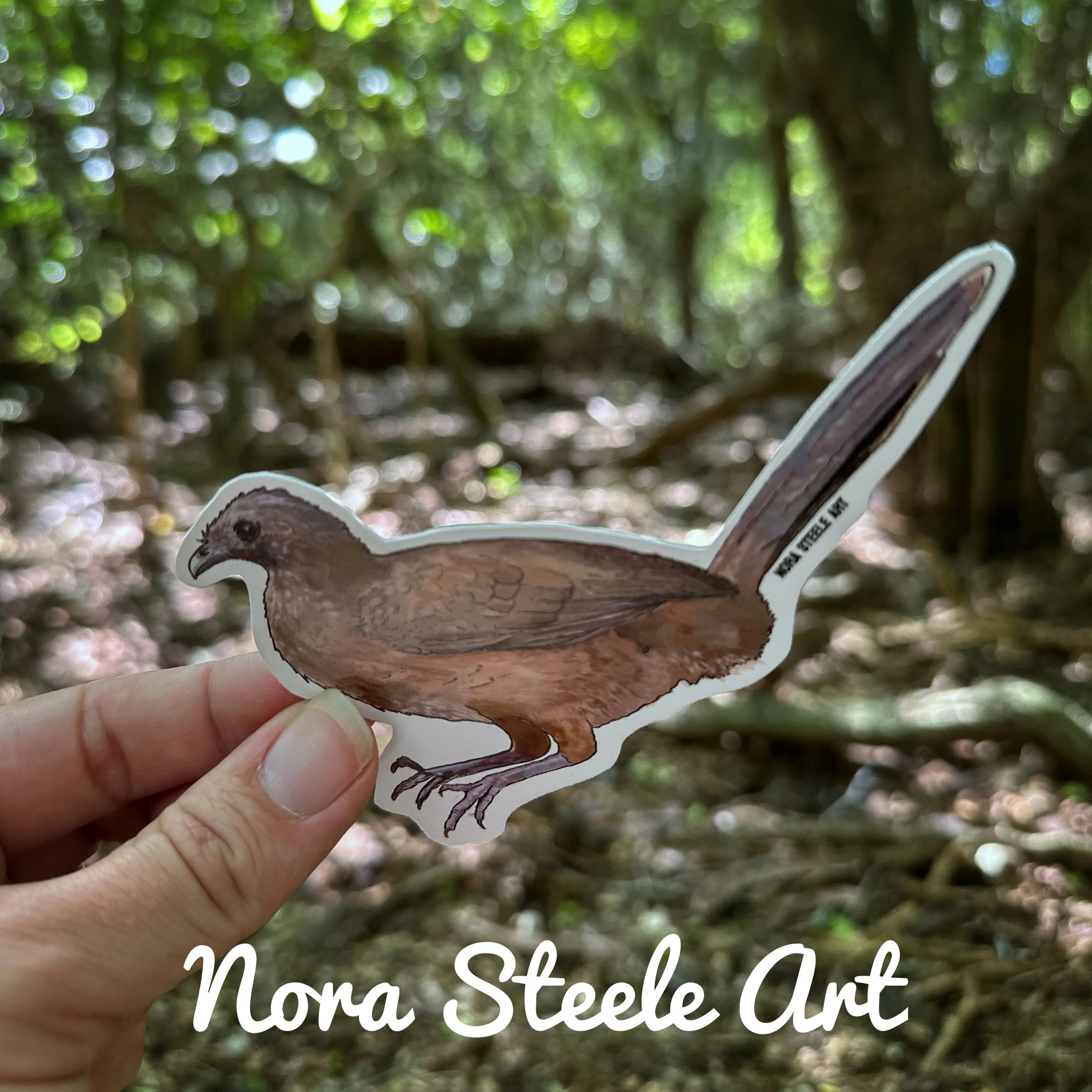 Waterproof Sticker - Plain Chachalaca