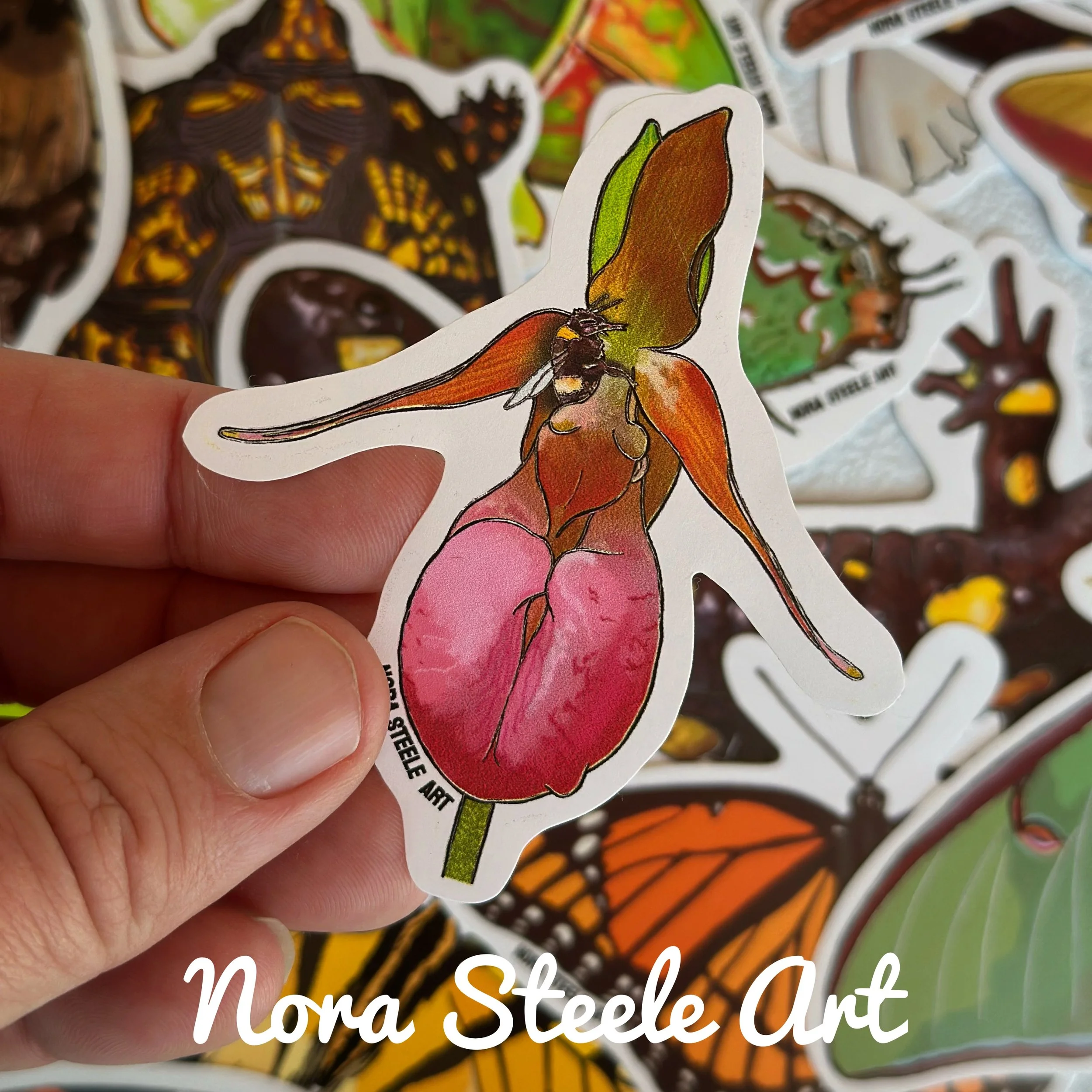 Waterproof Sticker - Pink Lady’s Slipper Flower