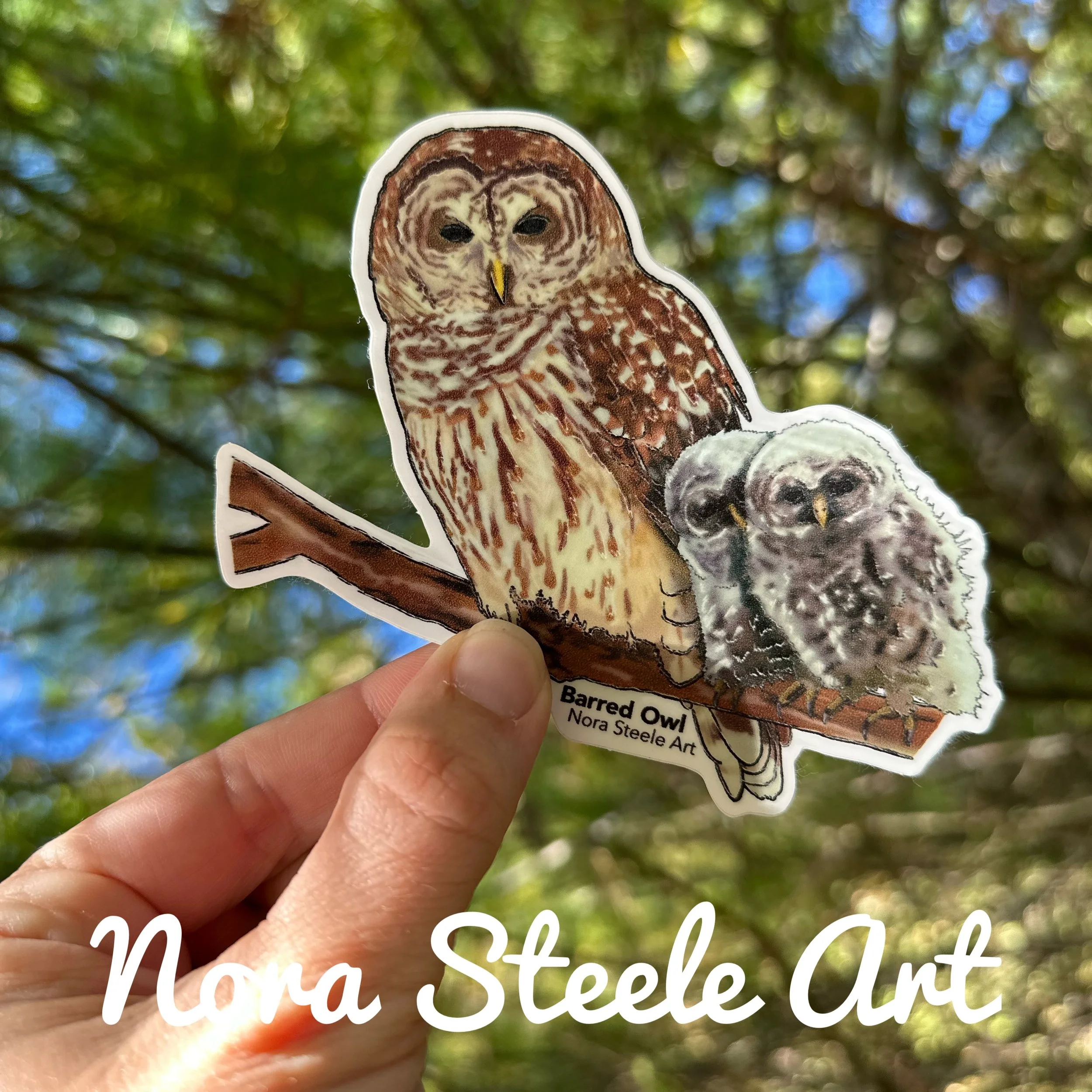 Waterproof Sticker - Barred Owl