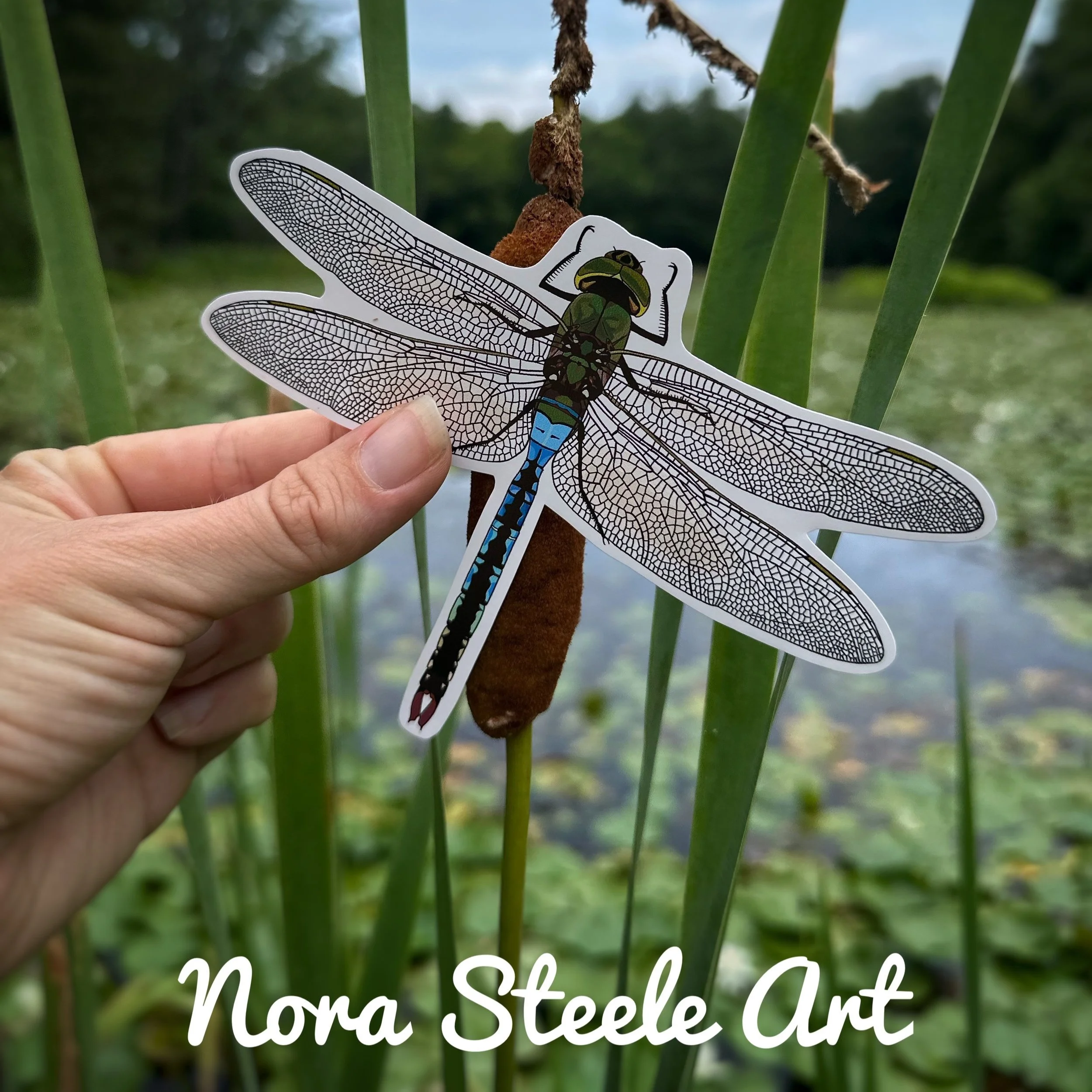 Green darner dragonfly sticker in front of a pond