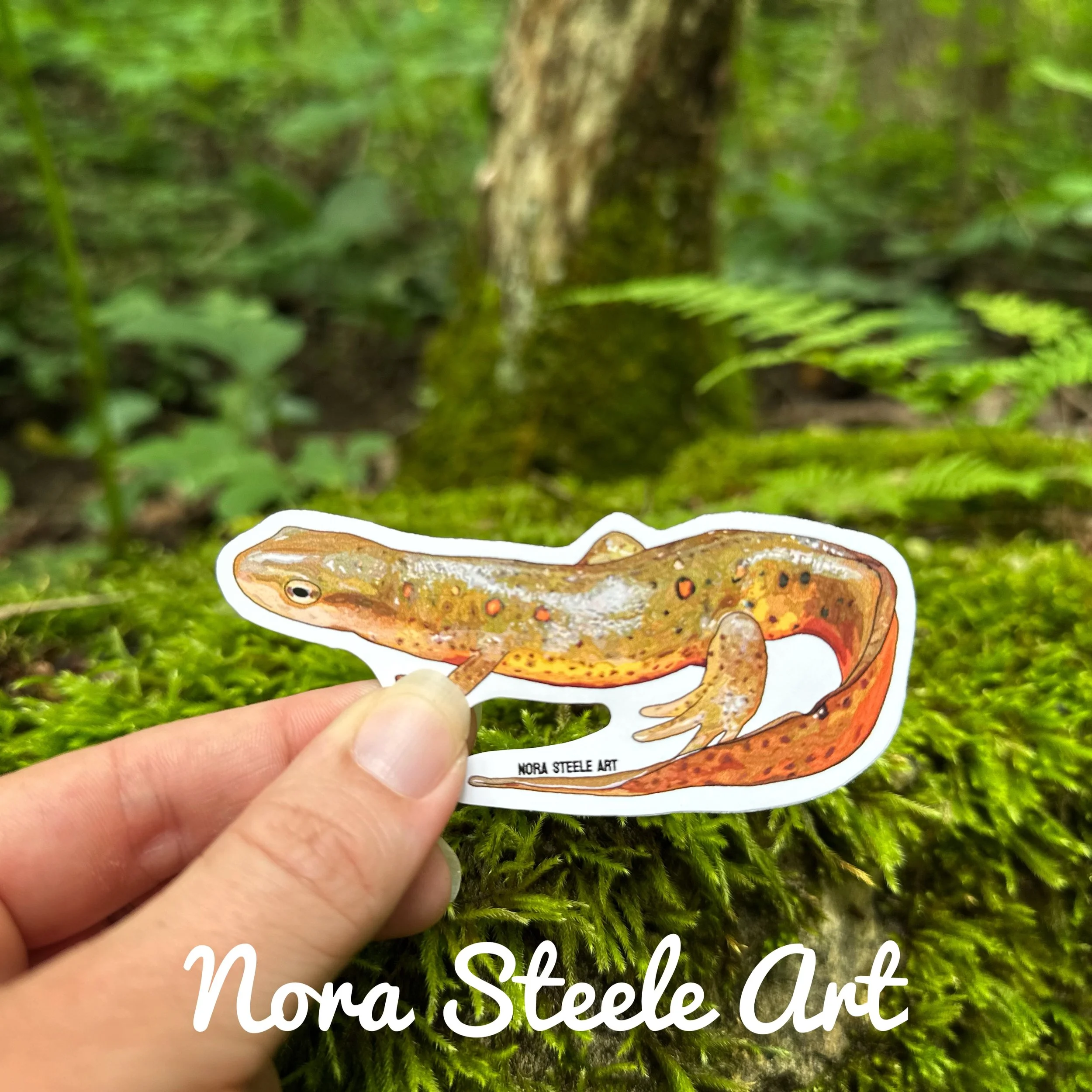 Red spotted newt sticker on background of mossy woods