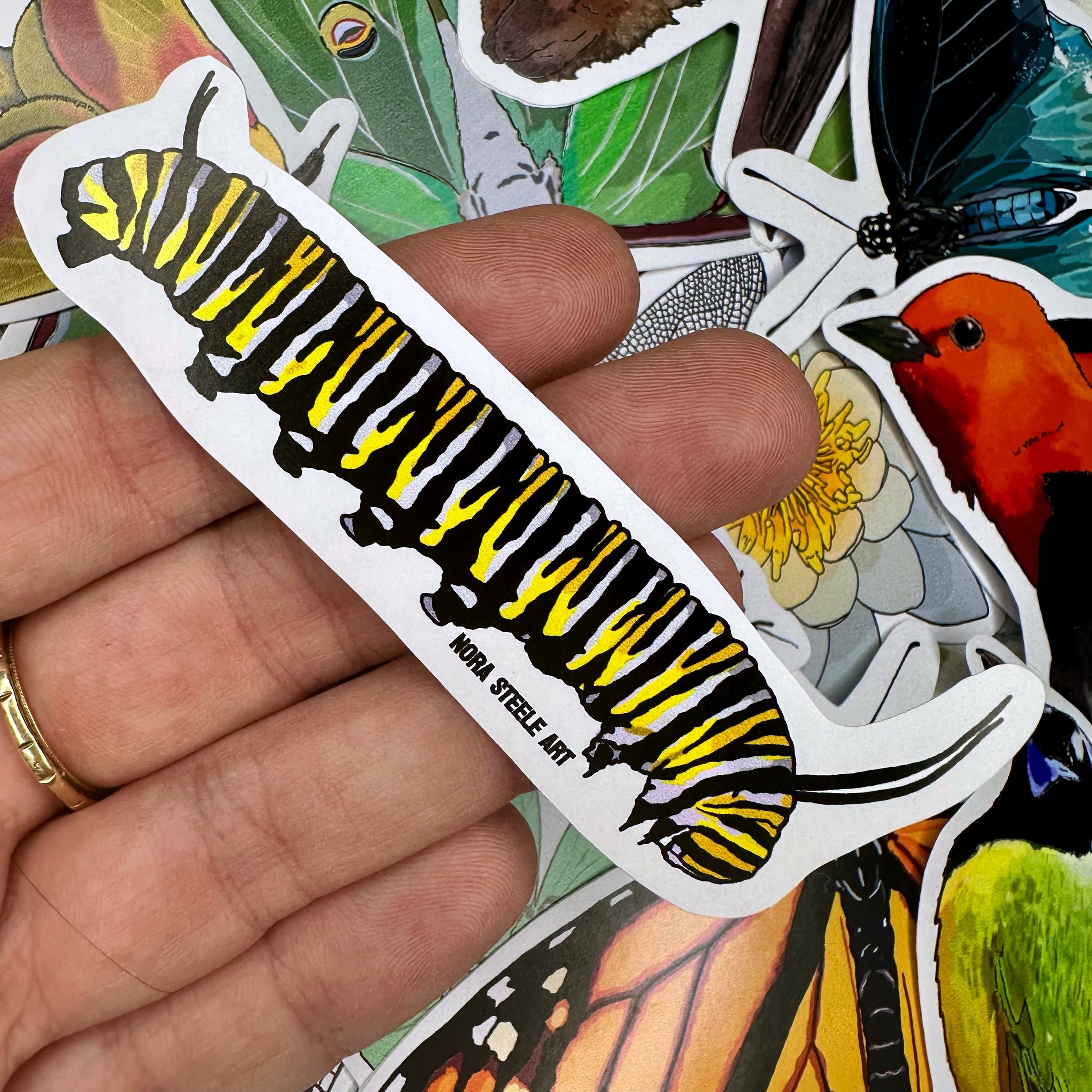 Monarch butterfly caterpillar sticker held above a pile of other stickers