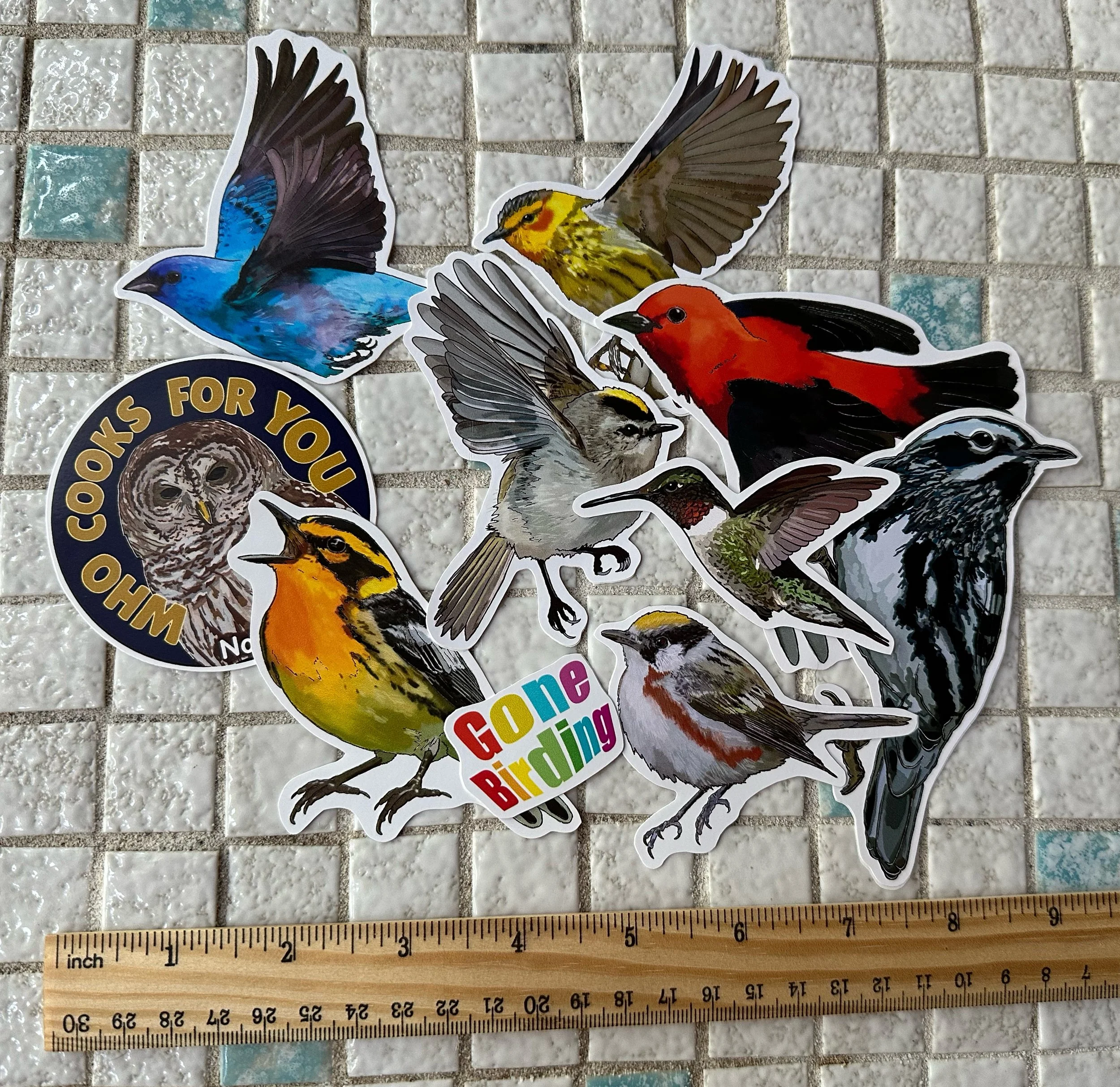 Spring migration stickers all spread out with a ruler for scale