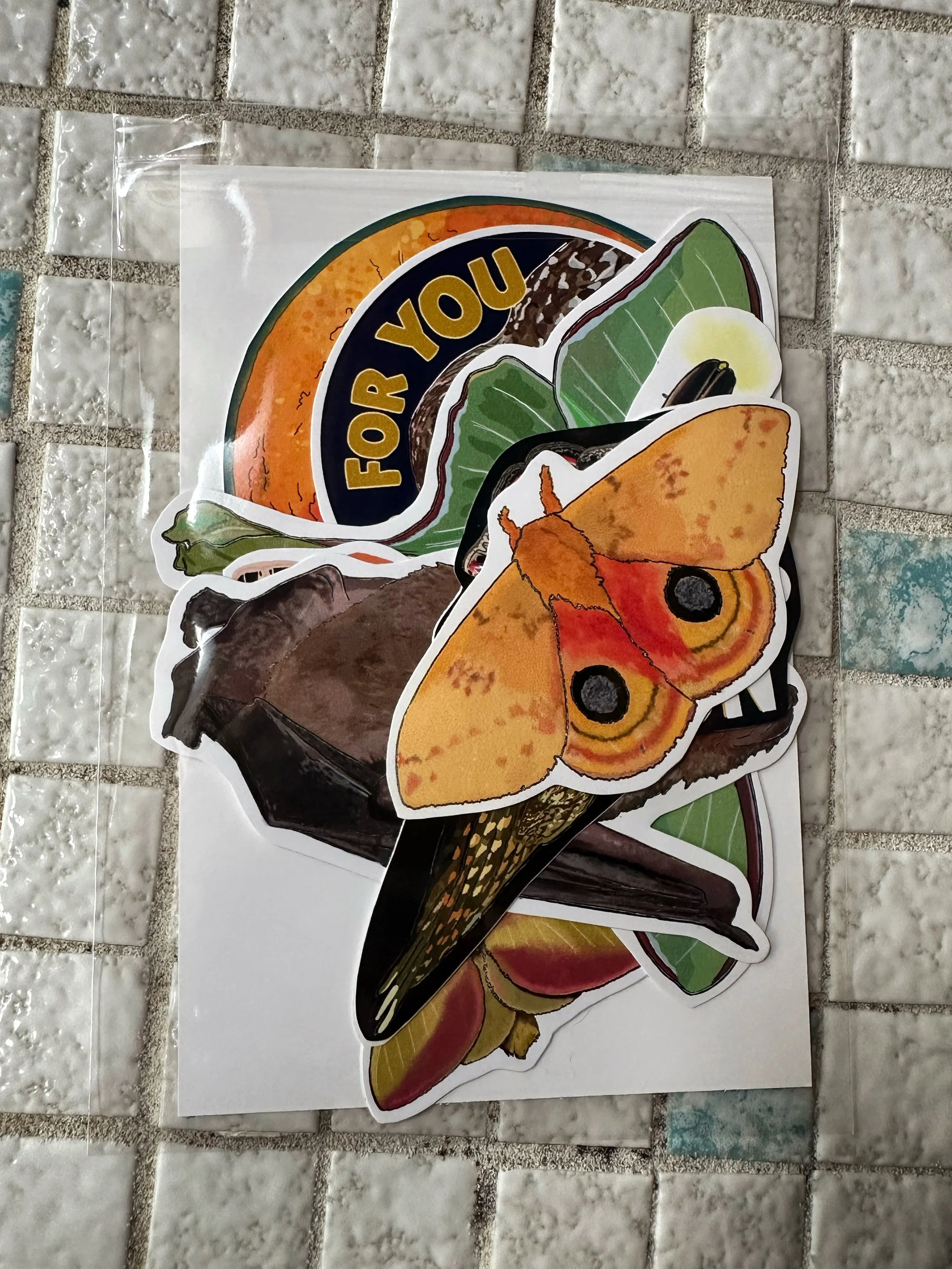 Nocturnal sticker pack with stickers