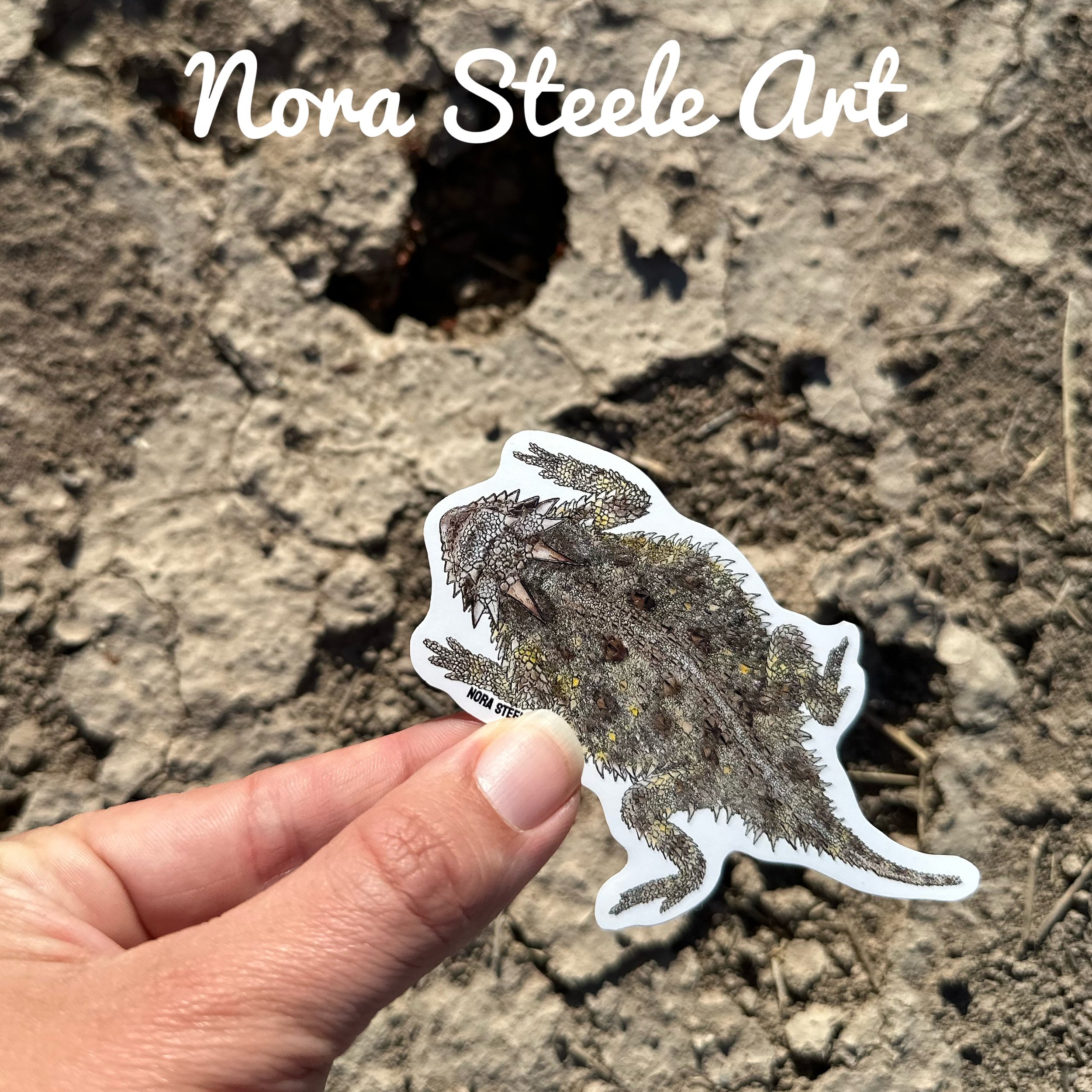 Texas horned lizard sticker held above dirt