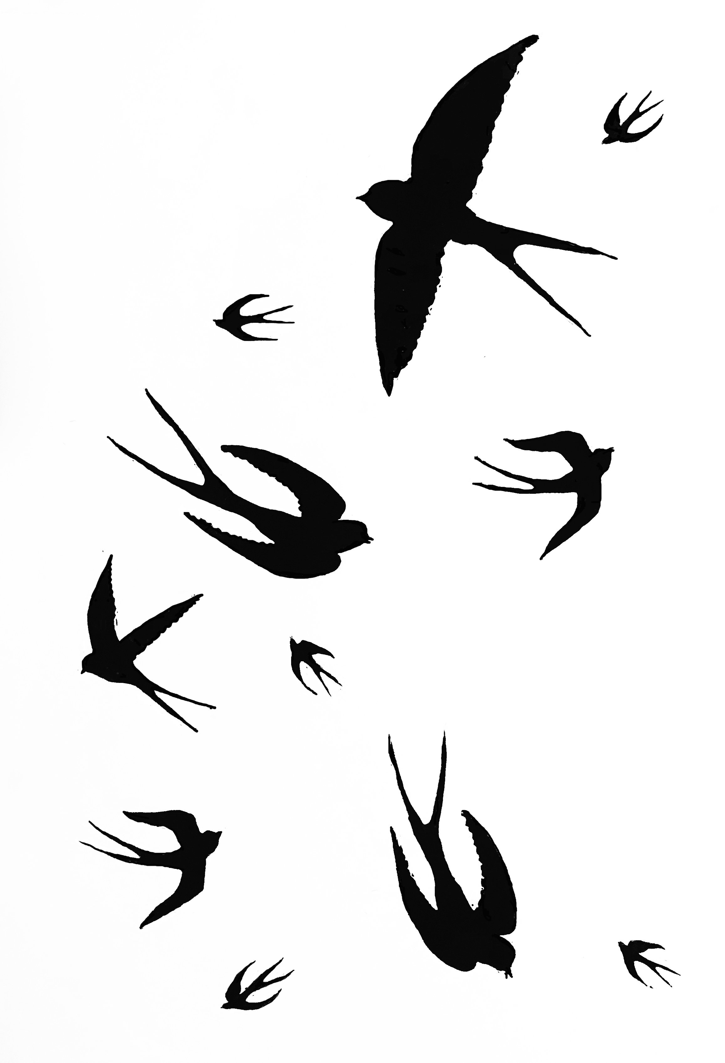 swallows.jpg