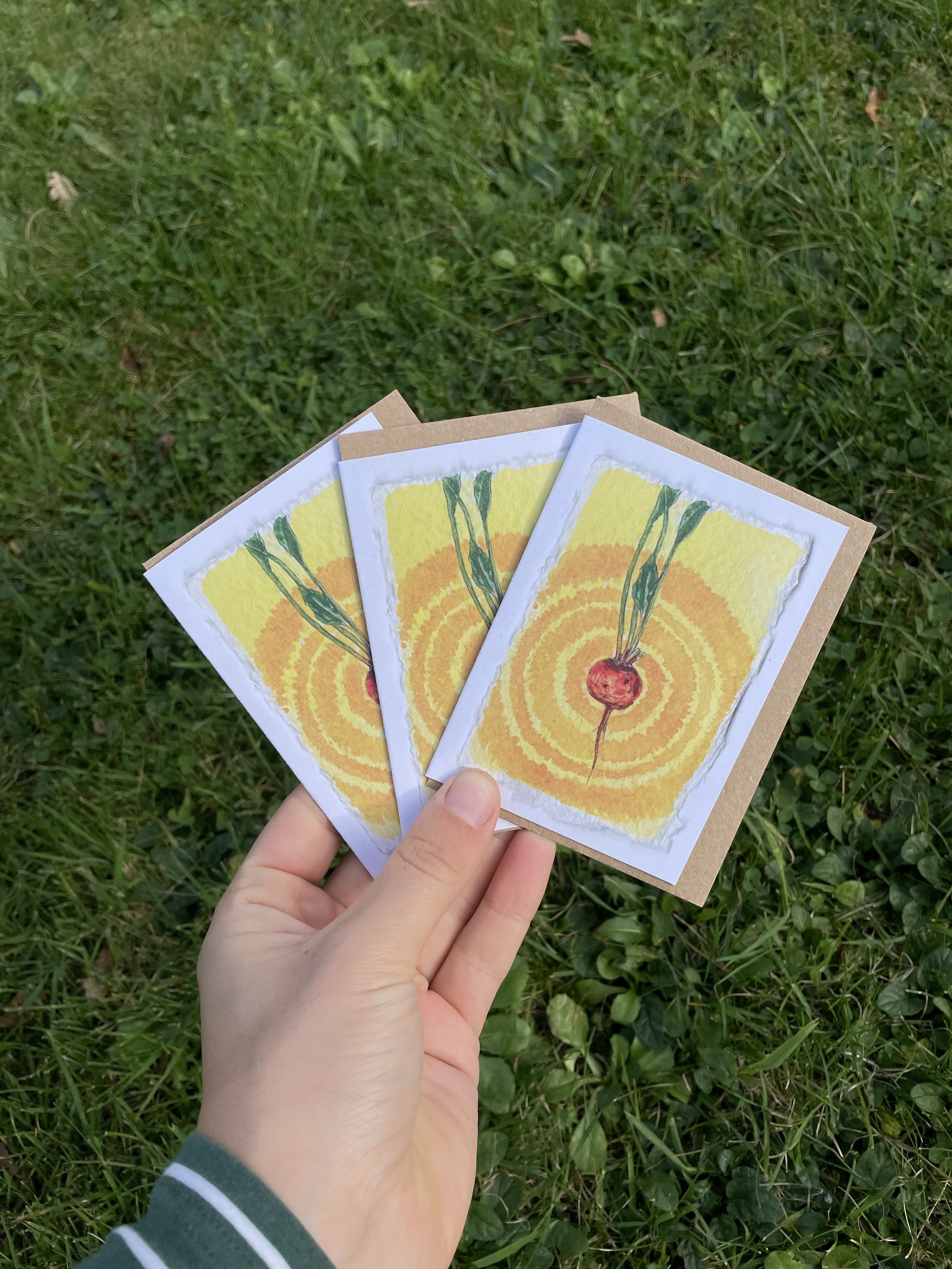 Multipack Golden beetroot watercolour tiny card