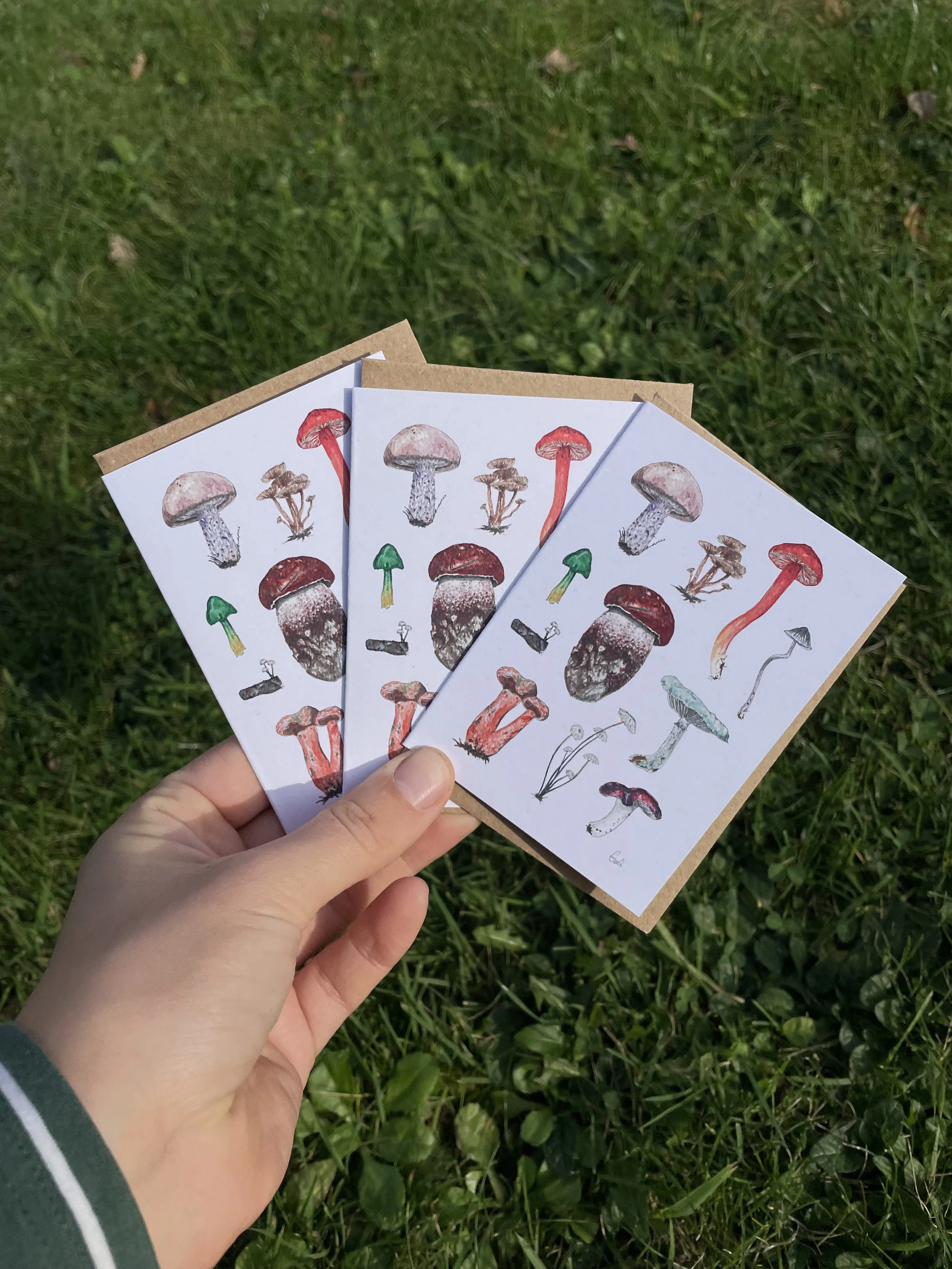 Multipack Rainbow mushrooms watercolour tiny card