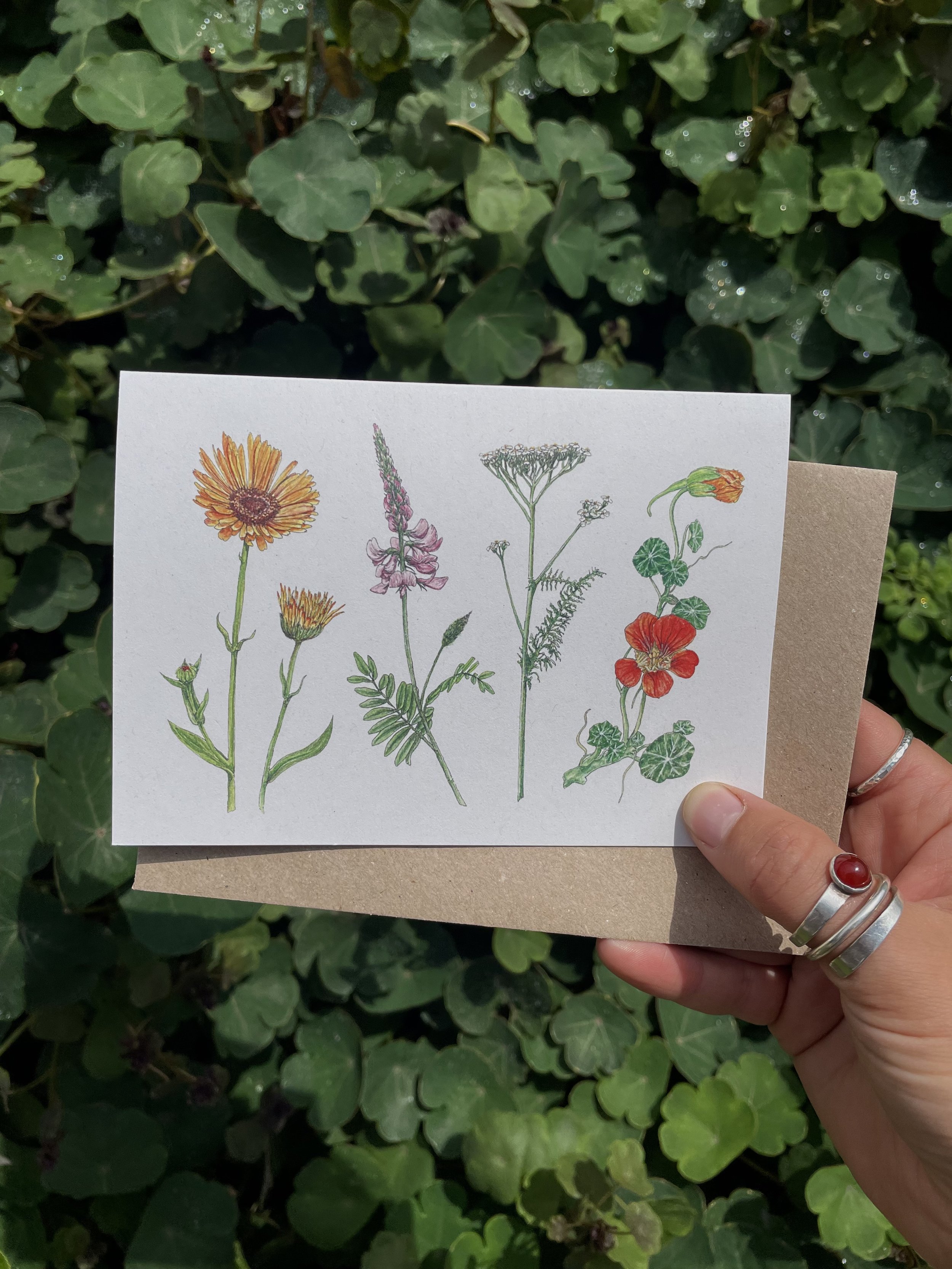 GC66 - Wildflowers A6