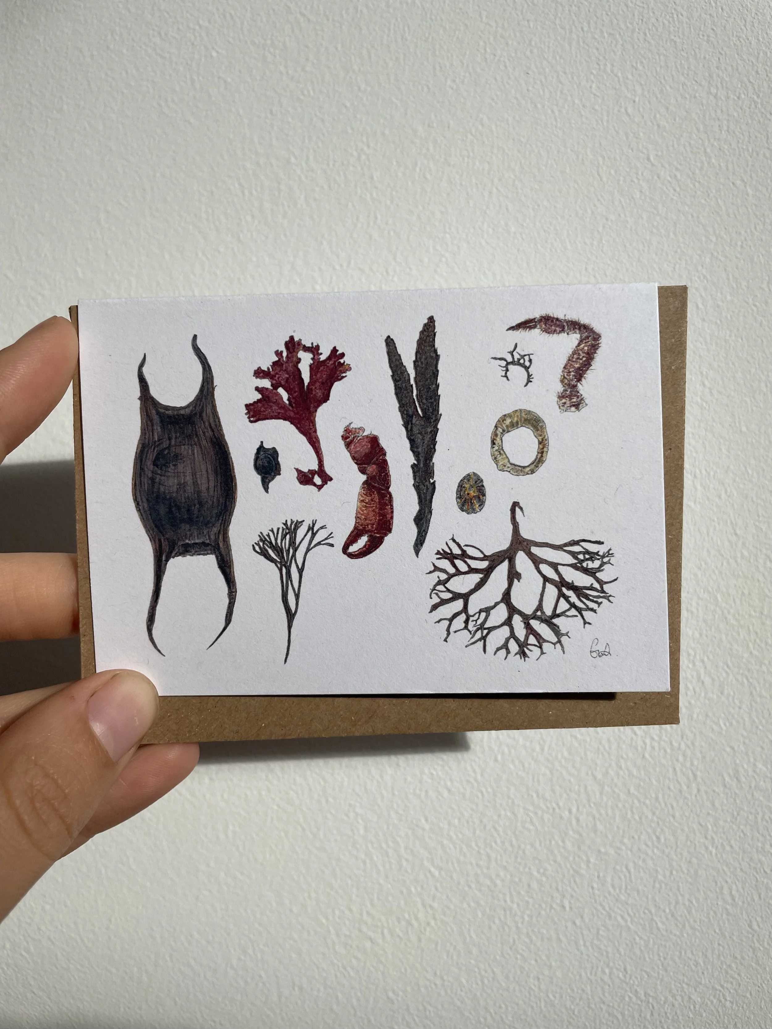Beach comber tiny card