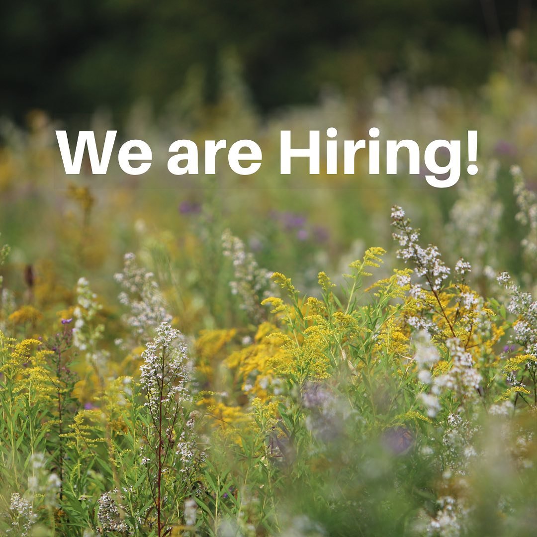 We are Hiring!

Educational Assistant &ndash; Summer 2025 

Ruthven Park National Historic Site is seeking a dedicated Educational Assistant for summer 2025. This role offers a unique opportunity to gain hands-on experience in heritage research, guid