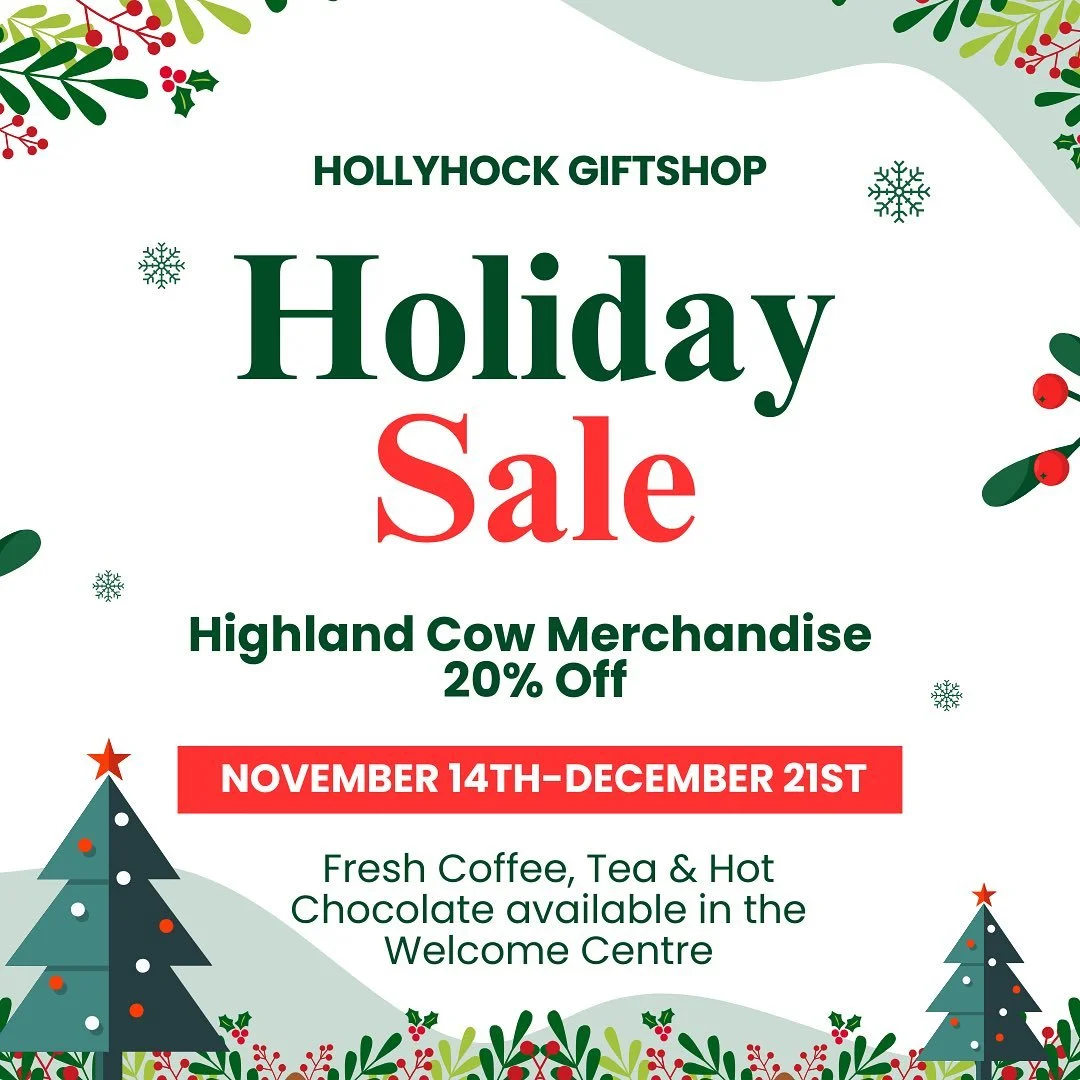 ✨ Holiday Sale! ✨🎁
Enjoy 20% off all Highland Cow merchandise in the Hollyhock Gift Shop.
Warm up with fresh coffee, tea, or hot chocolate available in the Welcome Centre!