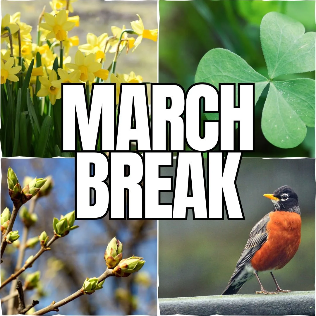 March Break at Ruthven Park
March 16th&ndash;20th | 11:00am - 3:00pm
FREE Drop-in Fun

Make Ruthven Park part of your March Break adventure. The Coach House will be open all week with free interactive activities&mdash;crafts, games, and creative stat