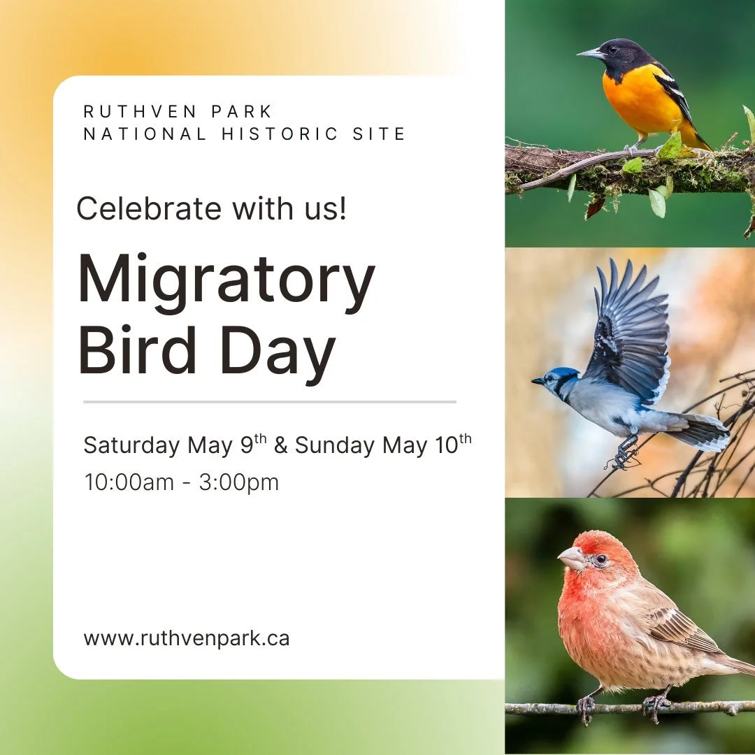 Migratory Bird Day - Discovery Weekend May 9 &amp; 10 &bull; 10:00 a.m. to 3:00 p.m. 
Free Admission

Celebrate Migratory Bird Day with a full weekend of nature‑inspired activities. Drop in anytime for hands‑on crafts, scavenger hunts across the grou