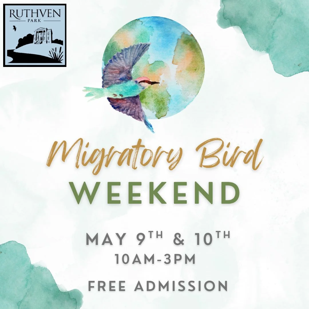 Coming Up This Weekend | May 9 &amp; 10 | 10:00am&ndash;3:00pm
Free Admission 🐦&zwj;⬛🦉

Celebrate the return of spring migration with a weekend full of family-friendly outdoor fun. Explore the grounds through interactive scavenger hunts, nature-ins