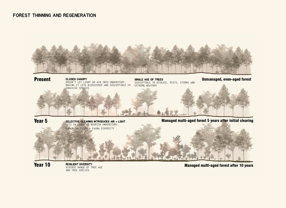 OM-KohlerRidge-Diagrams8.jpg