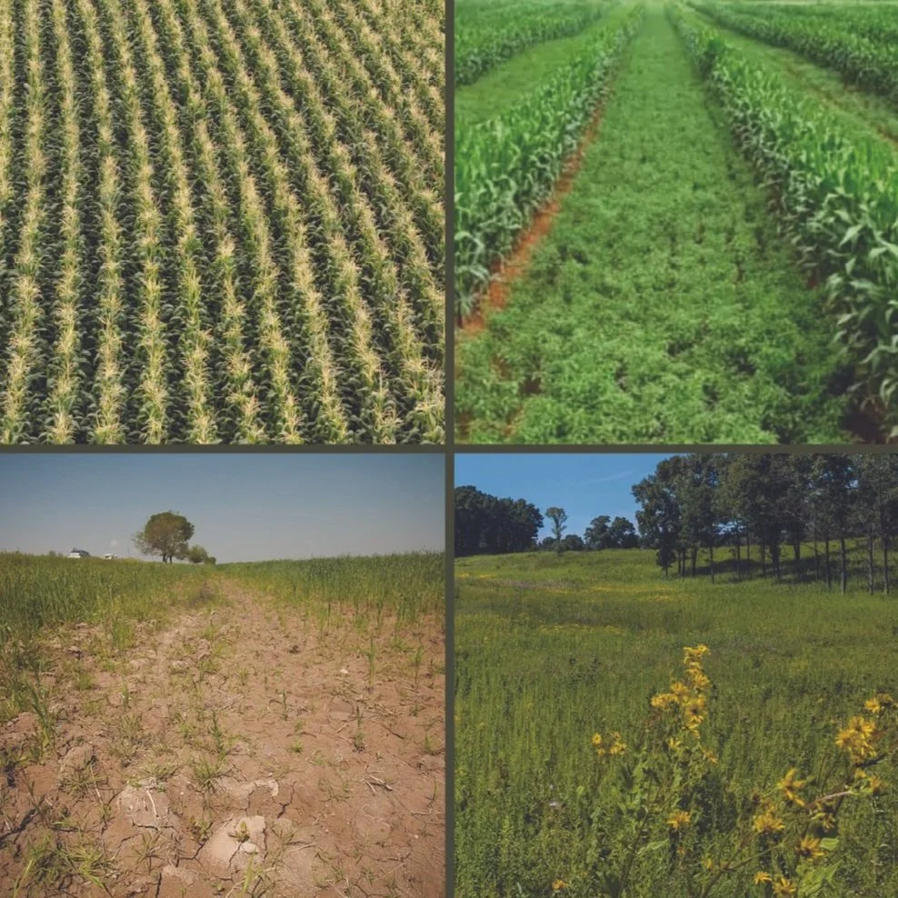 ADAPTIVE LANDS FRAMEWORK