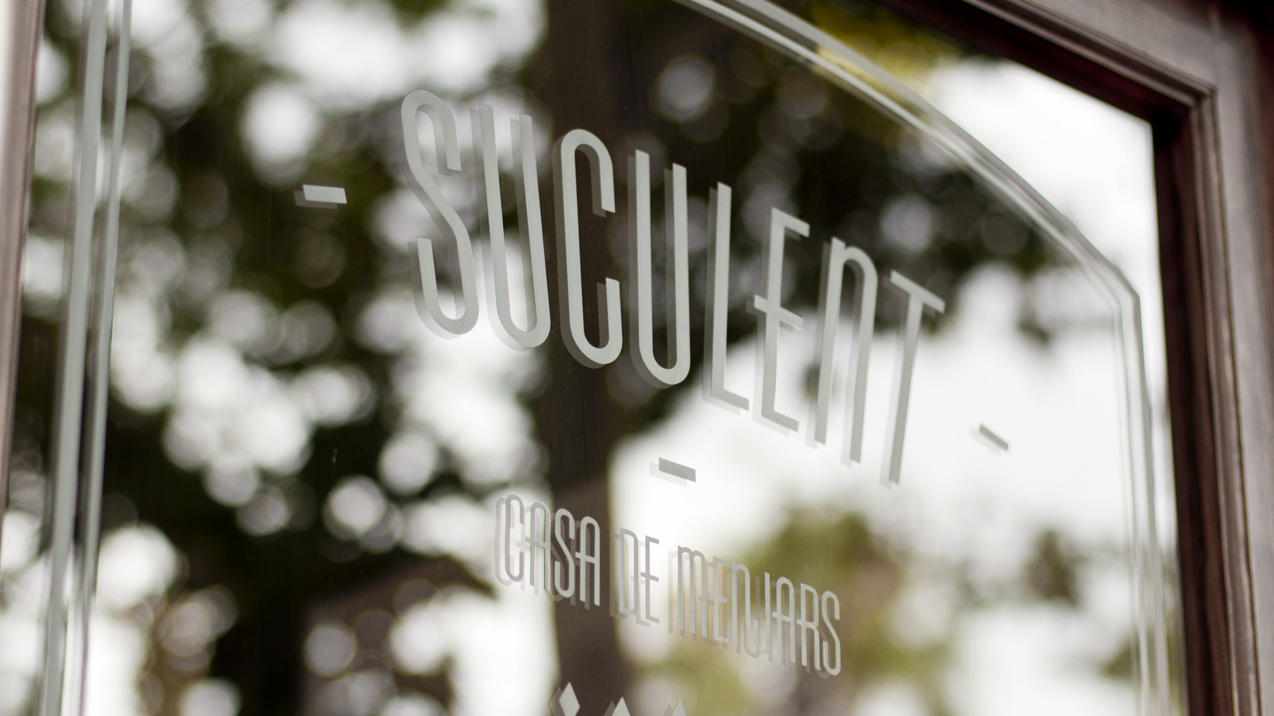 Suculent_6.jpg