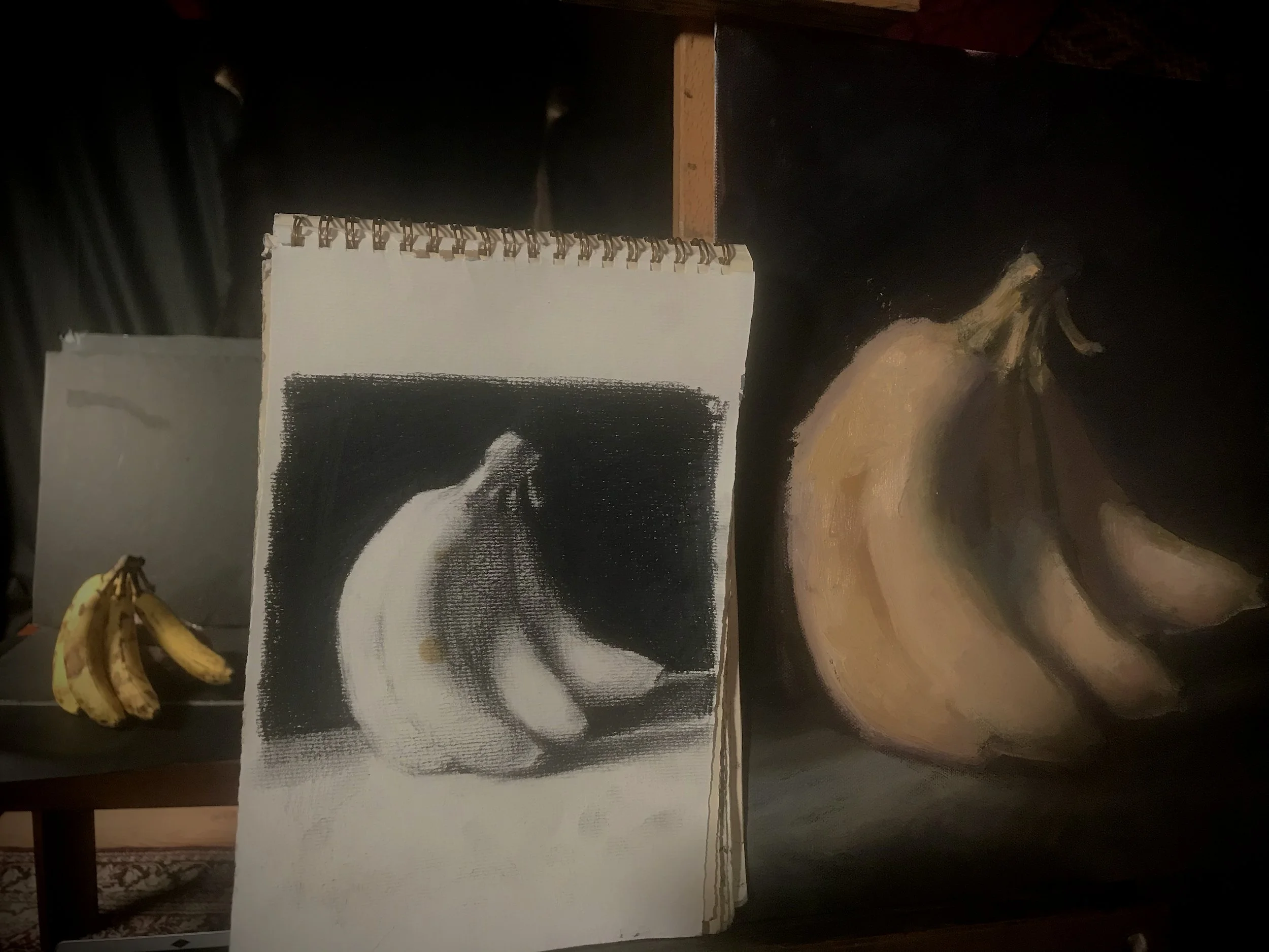 Still Life setup, sketch, and oil painting
2024
MCS