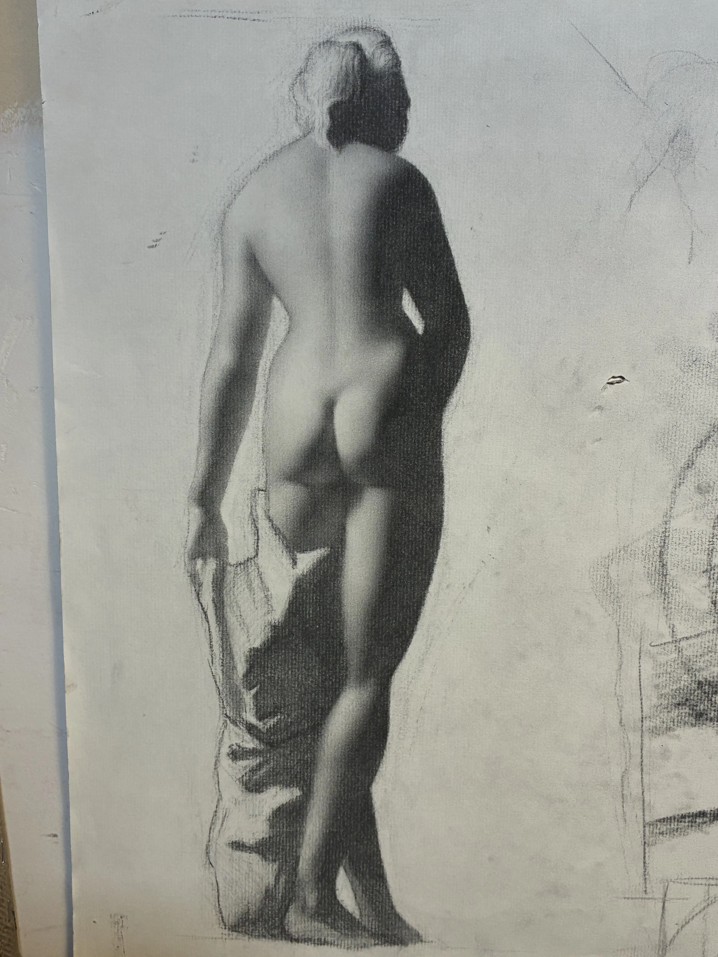 Charcoal Cast Drawing Demo
2024
MCS