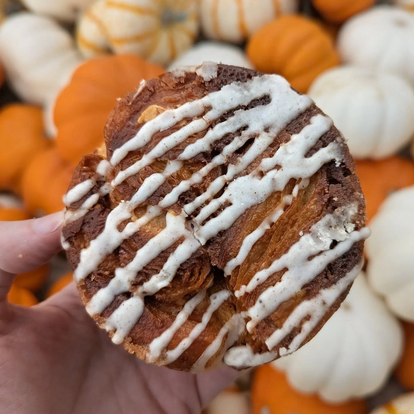 Tis the season! Pumpkin spice monkey bread at the market and at the shop today.
