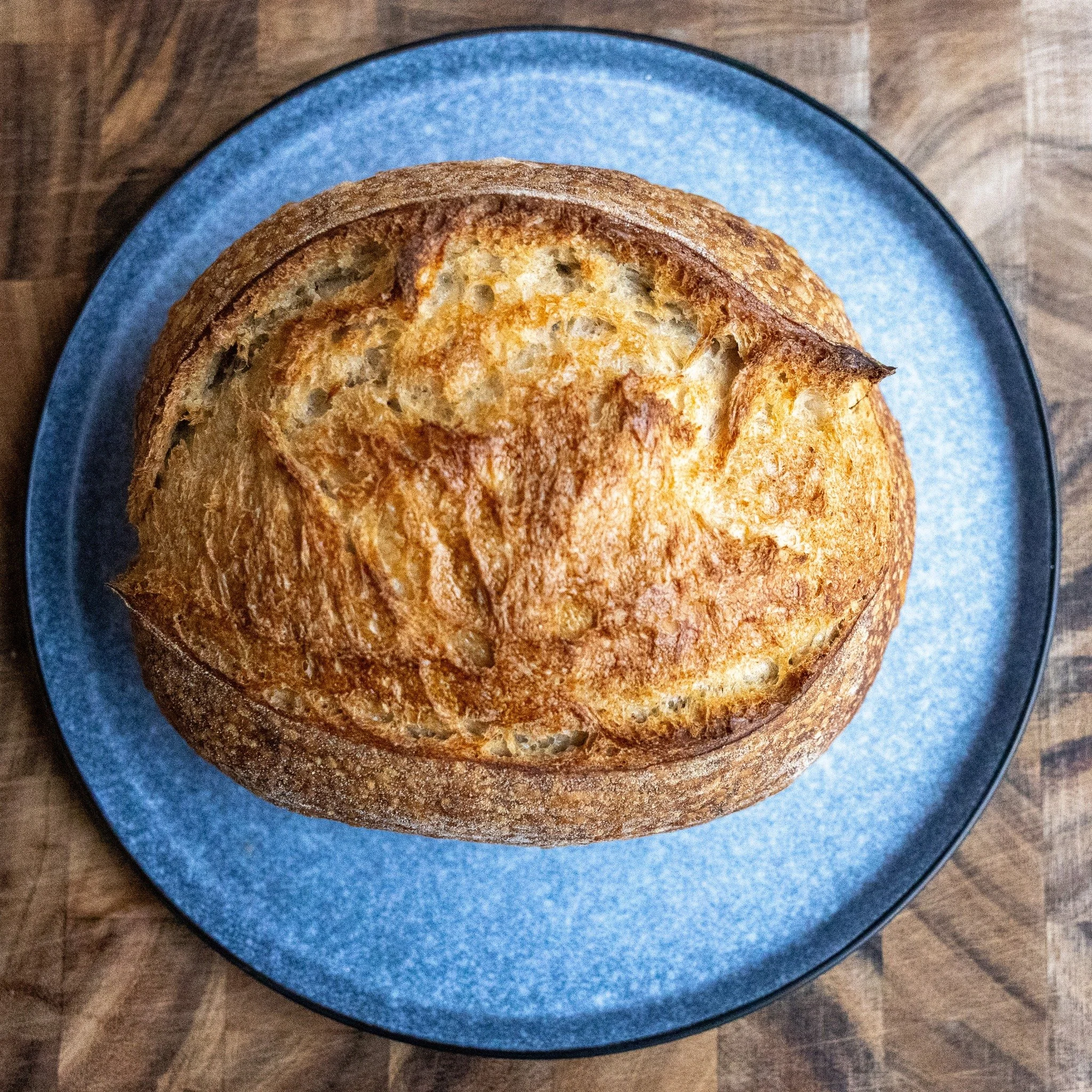 Sourdough lookin real nice thanks to @bylightandlens_photography