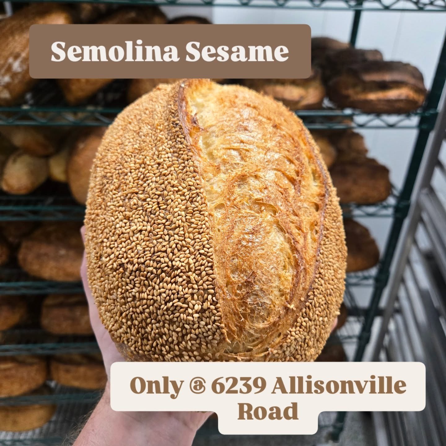 Raisins are stuck in transit.  Semolina Sesame sliding in as a replacement.