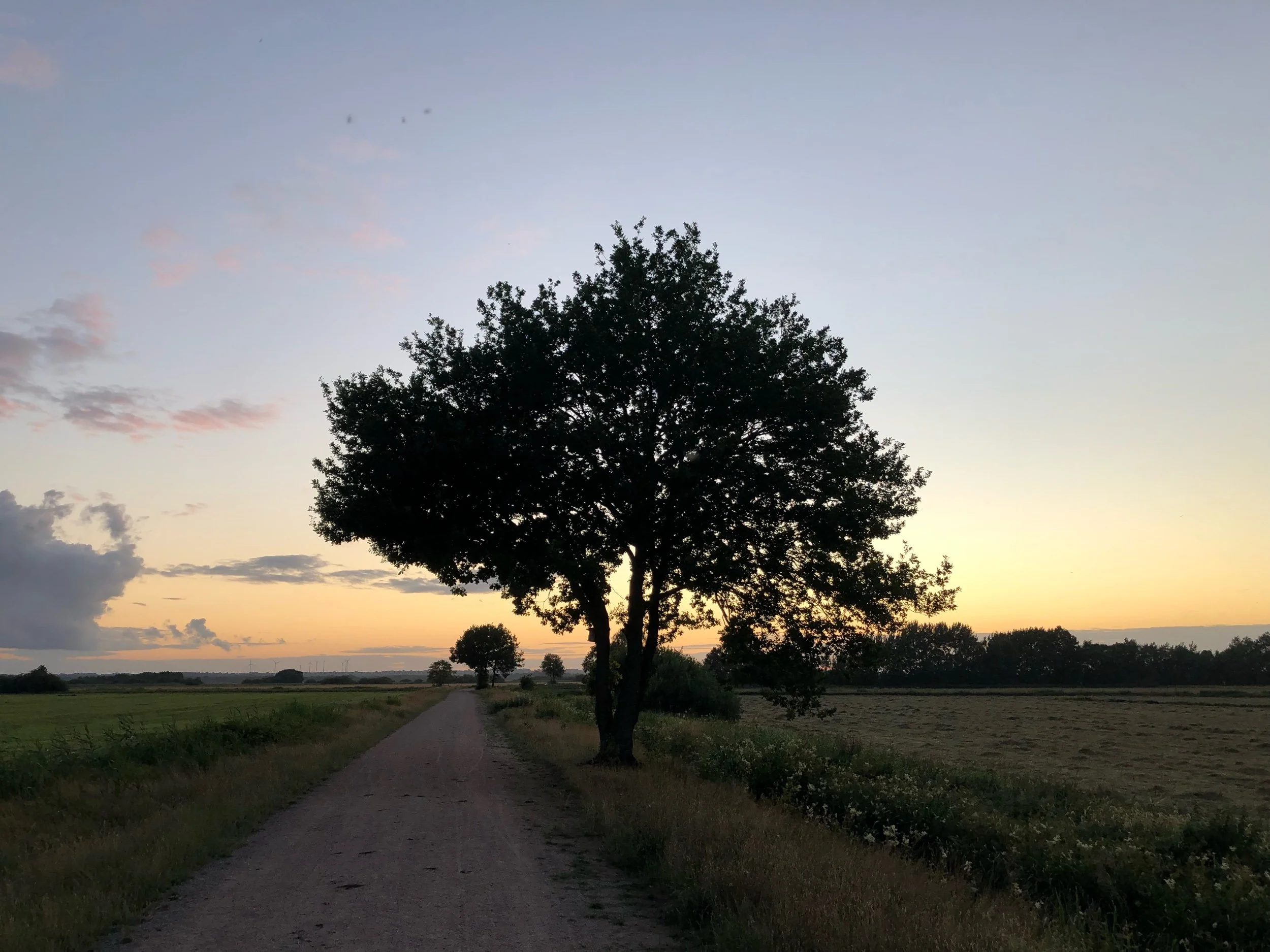 IMG_3688.jpeg