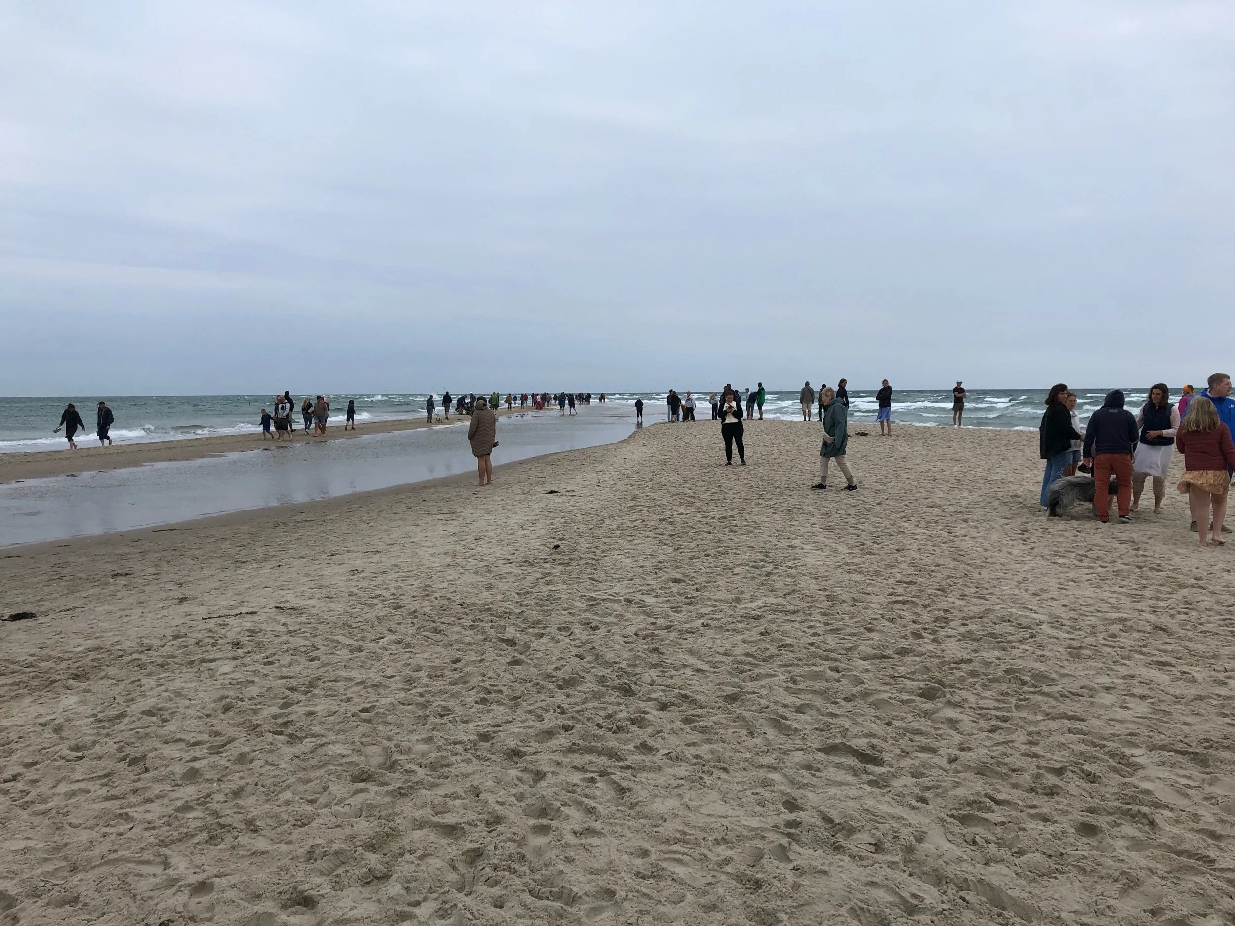 IMG_4233.jpeg