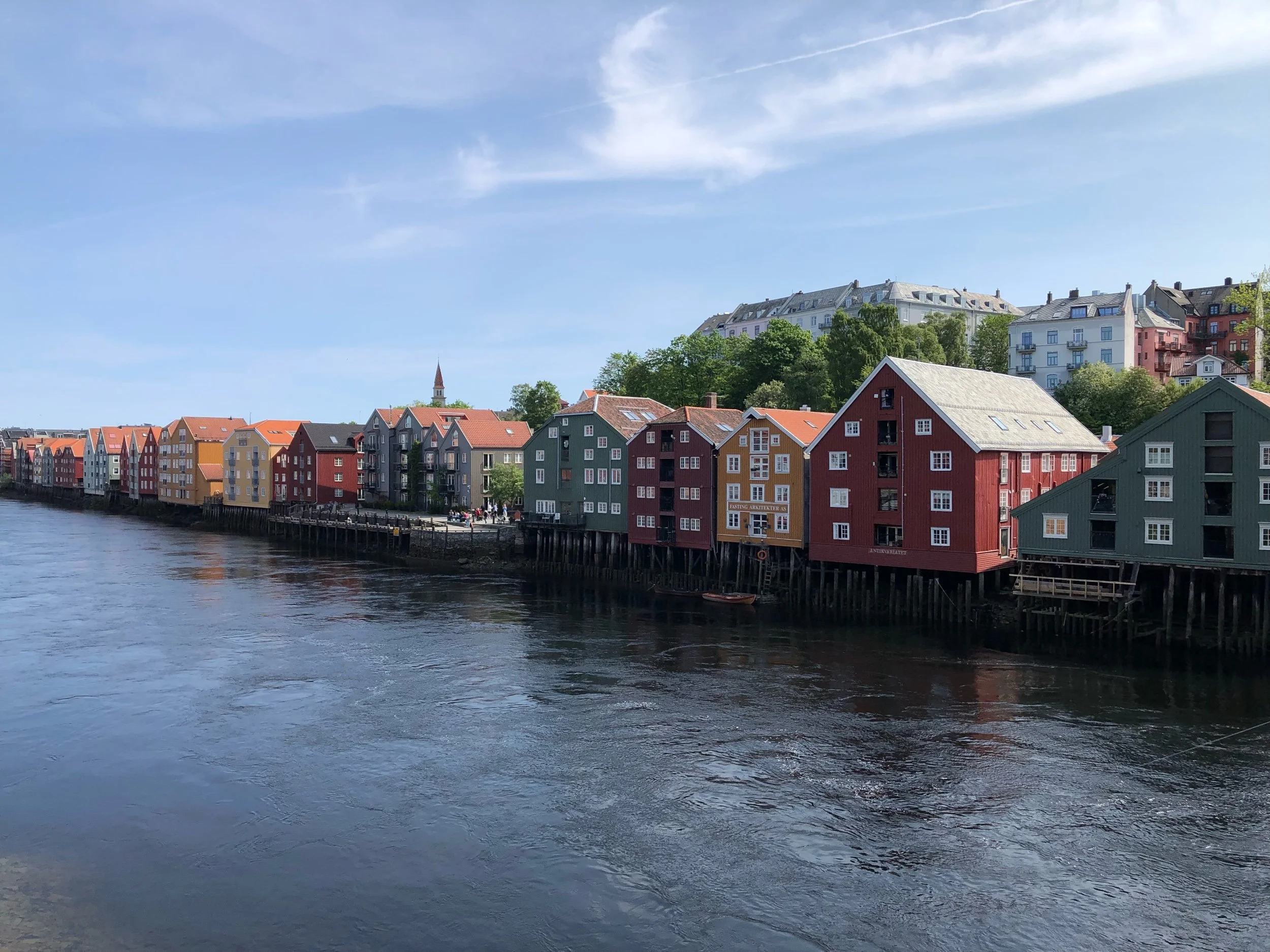 IMG_5243.jpeg