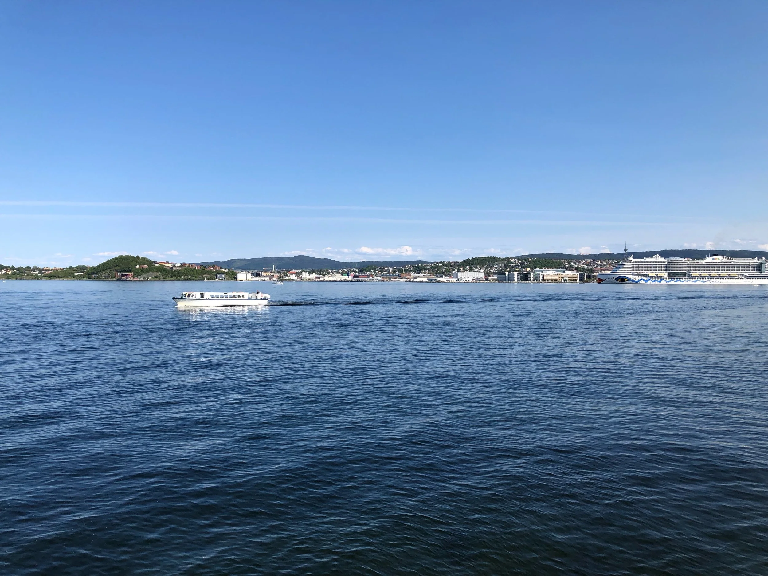 IMG_5278.jpeg