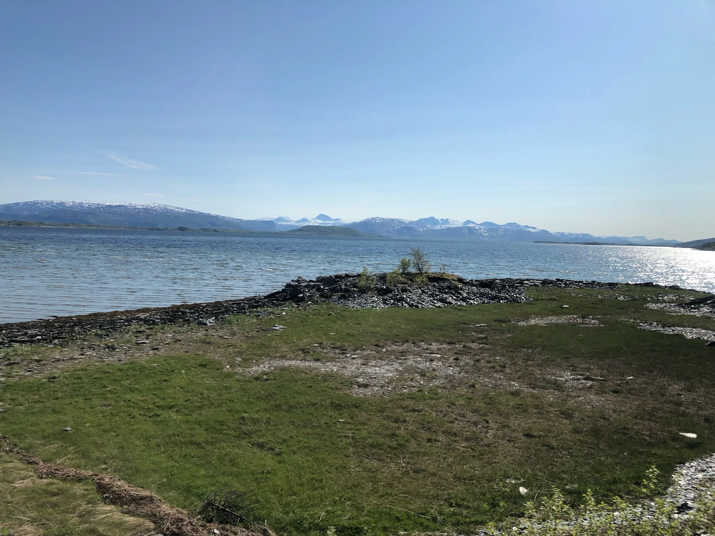 IMG_5319.jpeg
