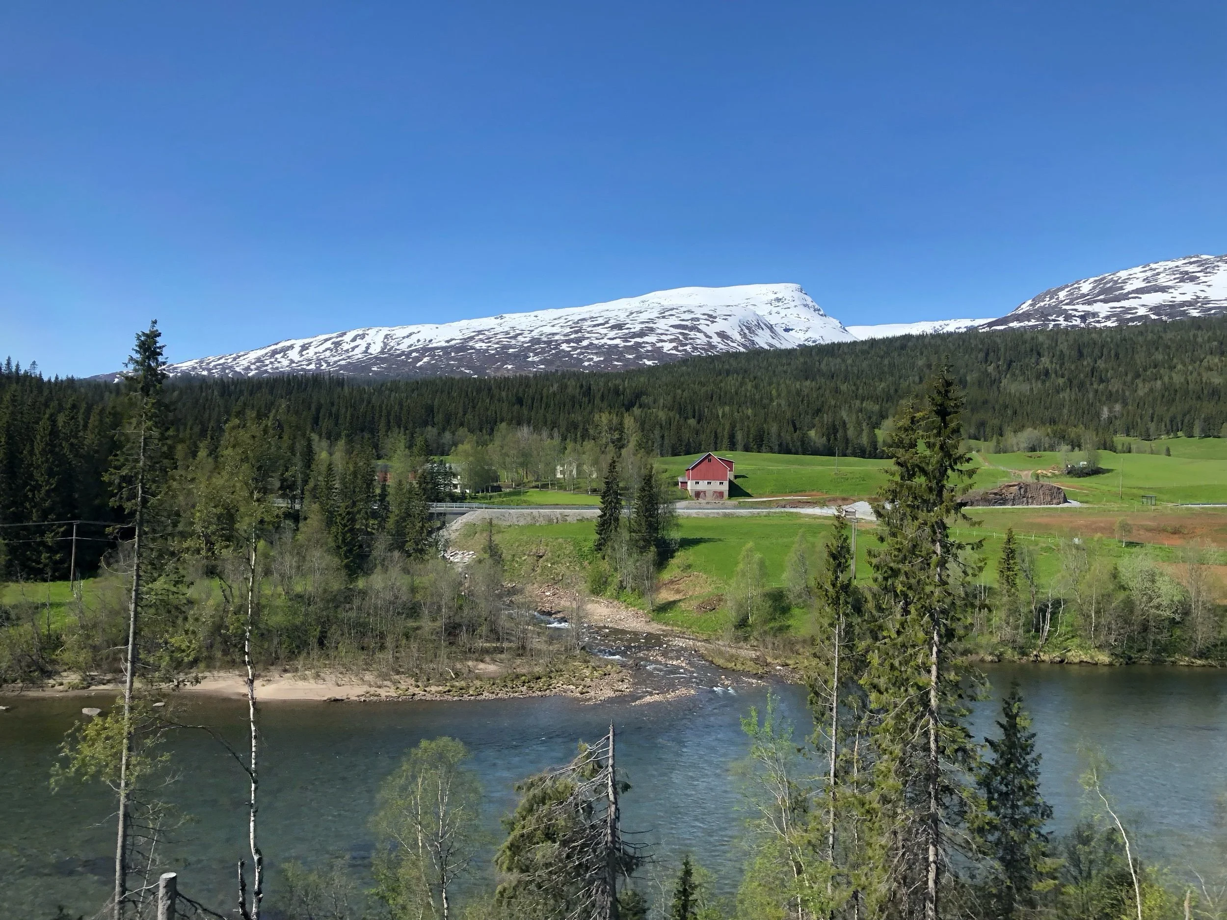 IMG_5305.jpeg