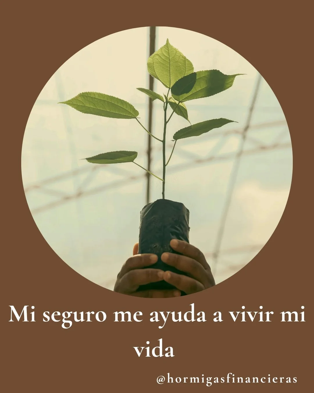 Un seguro de vida no es solo para cuando faltes. Tambi&eacute;n puede protegerte si la vida te obliga a frenar.

La cobertura por invalidez total o permanente puede ser la diferencia entre perder tus ingresos o tener la oportunidad de reconstruir tu 
