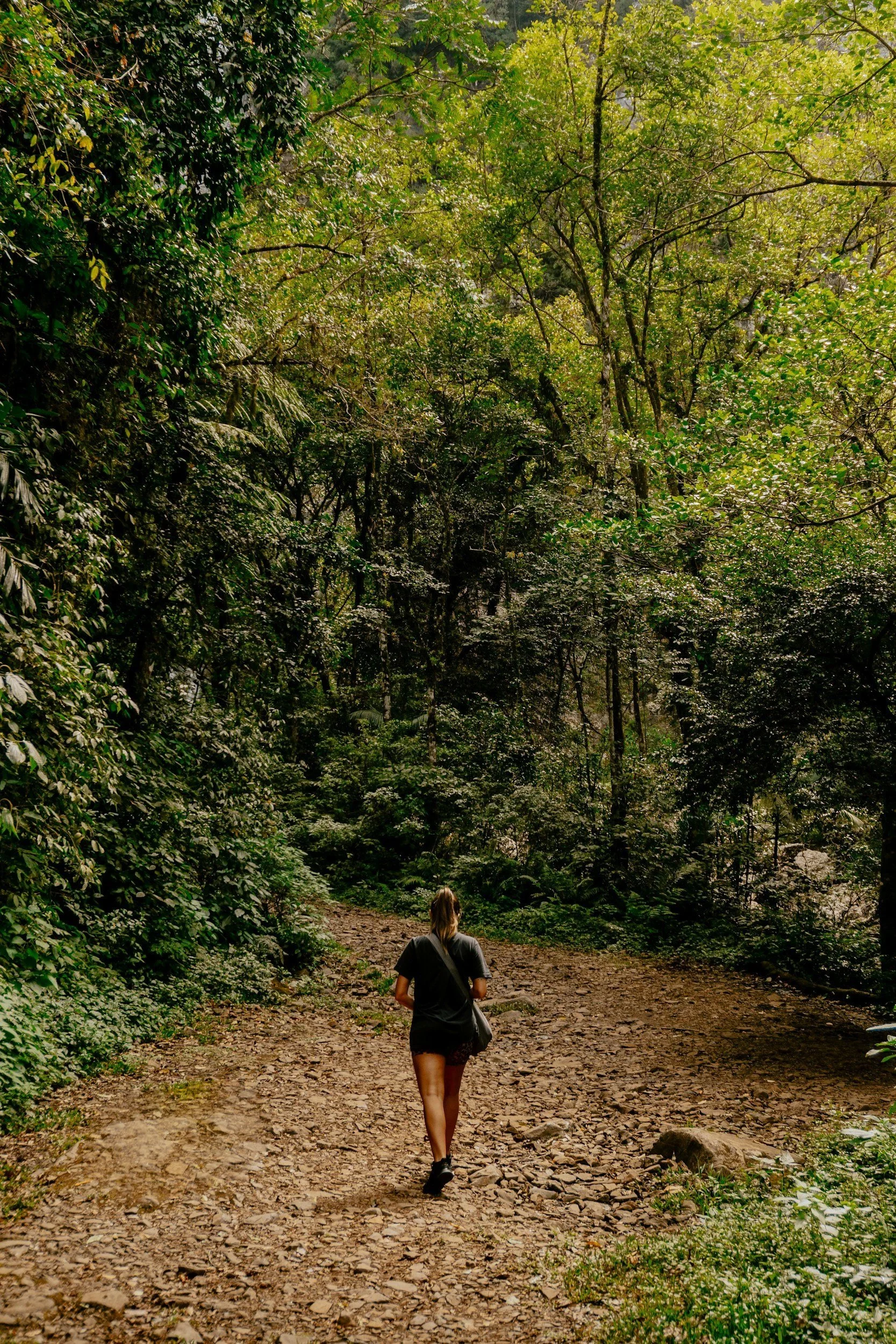 Escuchar tu brújula interna: cuando la vocación no pide prisa