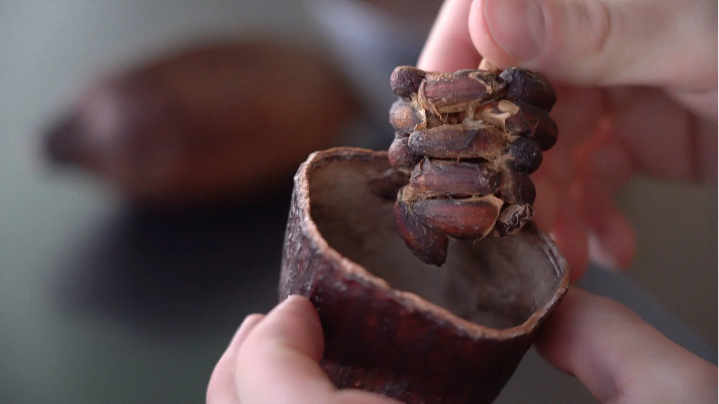 ICELAND'S SECRET CHOCOLATE