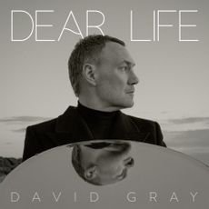 David Gray - Dear life (LTD EDITION)