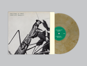 Courtney Barnett -  Creature Of Habit