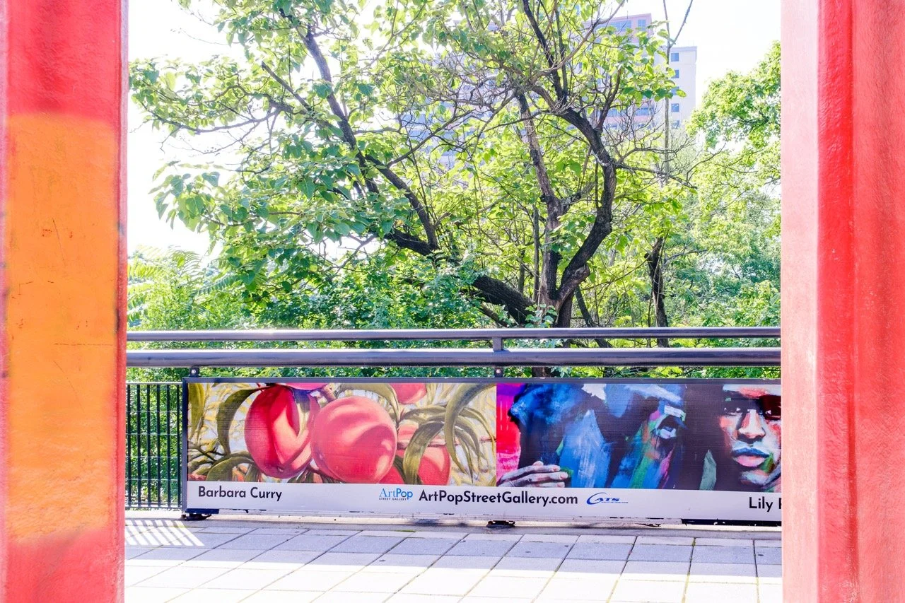 ArtPop Street Gallery Cities Program Class of 2024 CATS Lynx LightRail Display Barbara Curry Lily Roman.jpeg