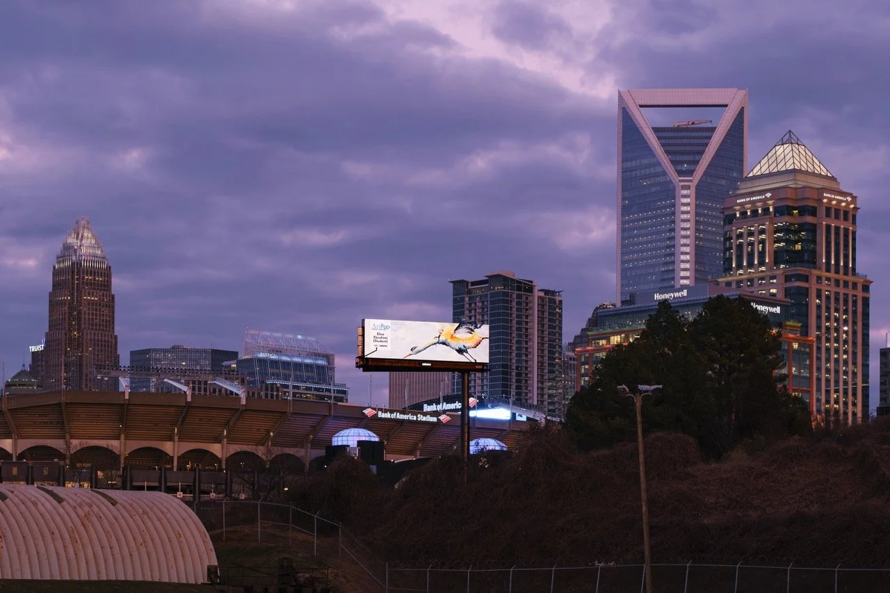 ArtPop Street Gallery Cities Program Class of 2024 Adams Digital Billboard Charlotte NC Skyline Dusk Elsie Ebrahimi.jpeg
