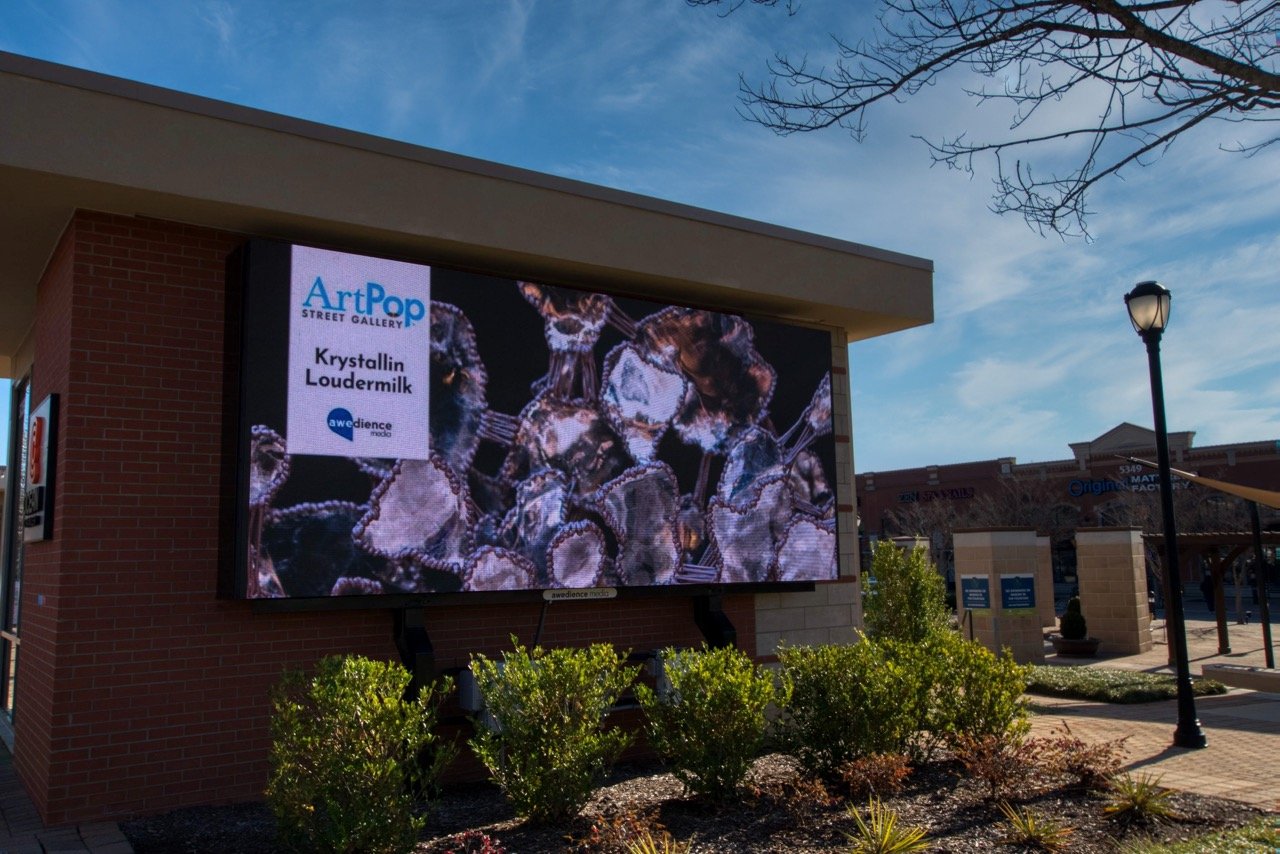 ArtPop Street Gallery Cities Program Class of 2024 Awedience Media Digital Display Krystallin Loudermilk.jpeg