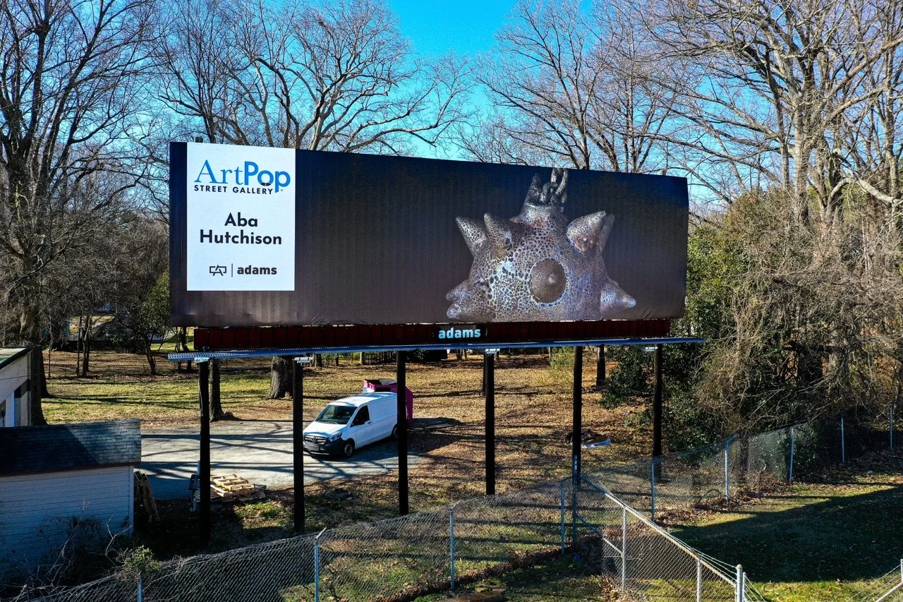 ArtPop Street Gallery Cities Program Class of 2024 Adams Outdoor Advertising Printed Artist Billboard Charlotte NC Aba Hutchison.jpeg