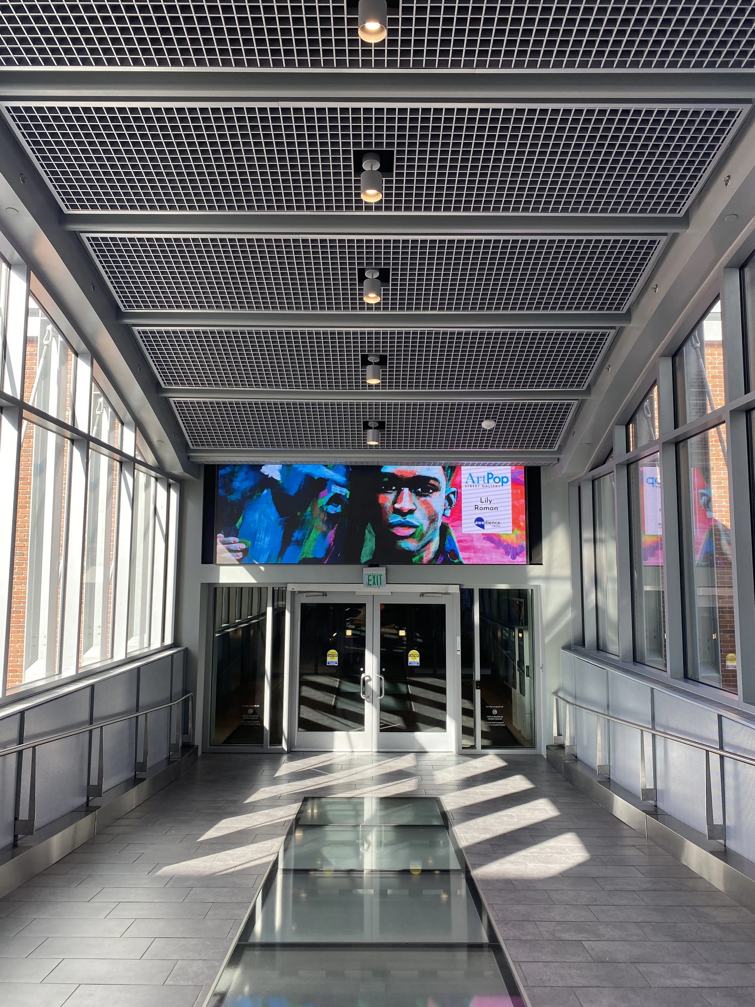 ArtPop Street Gallery Cities Program Class of 2024 Awedience Media Digital Display Legacy Union Skybridge Lily Roman.JPG